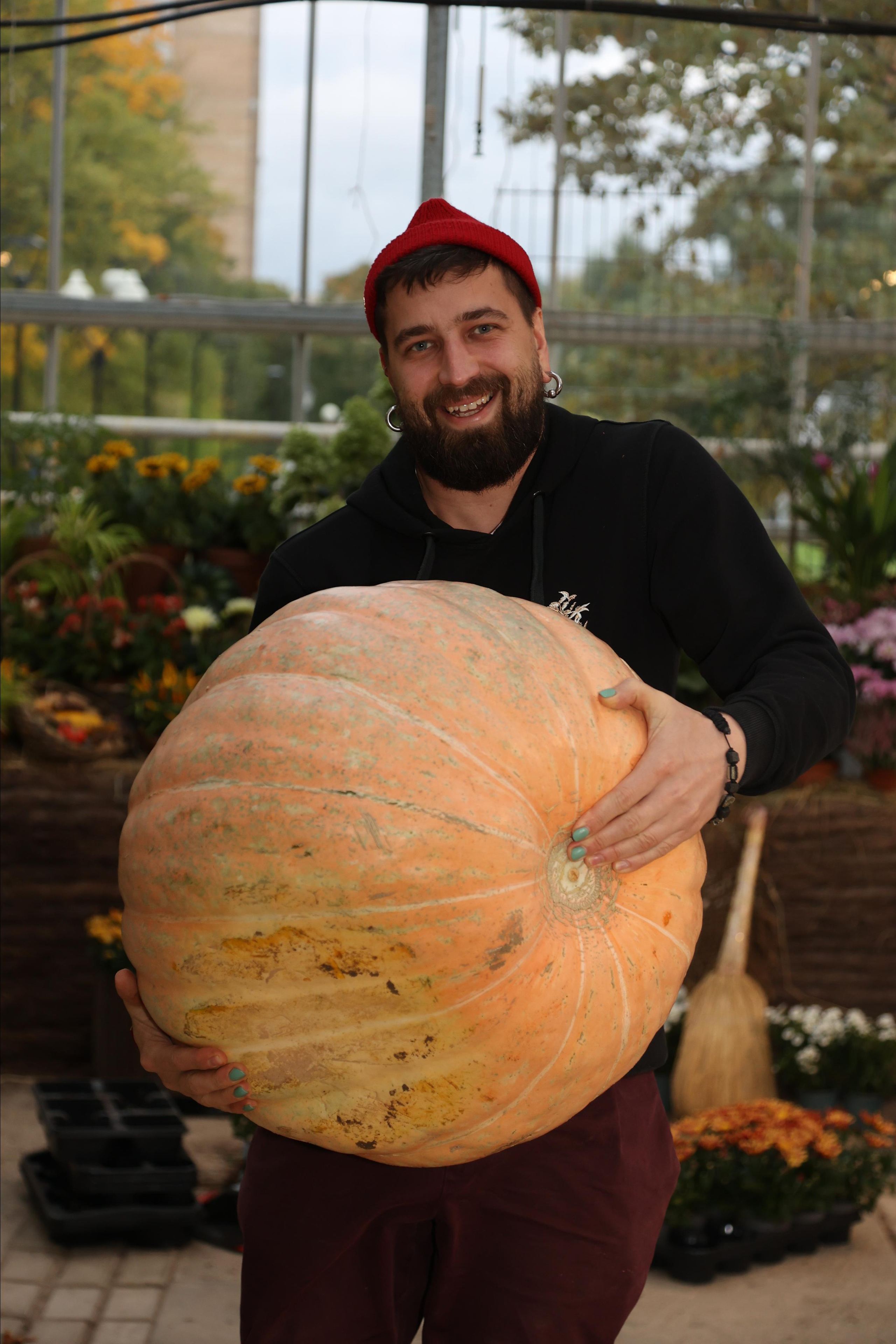 Гигантские тыквы в Ботаническом саду МГУ "Аптекарский огород". Maria Poleshchuk, commercial photographer in Sydney