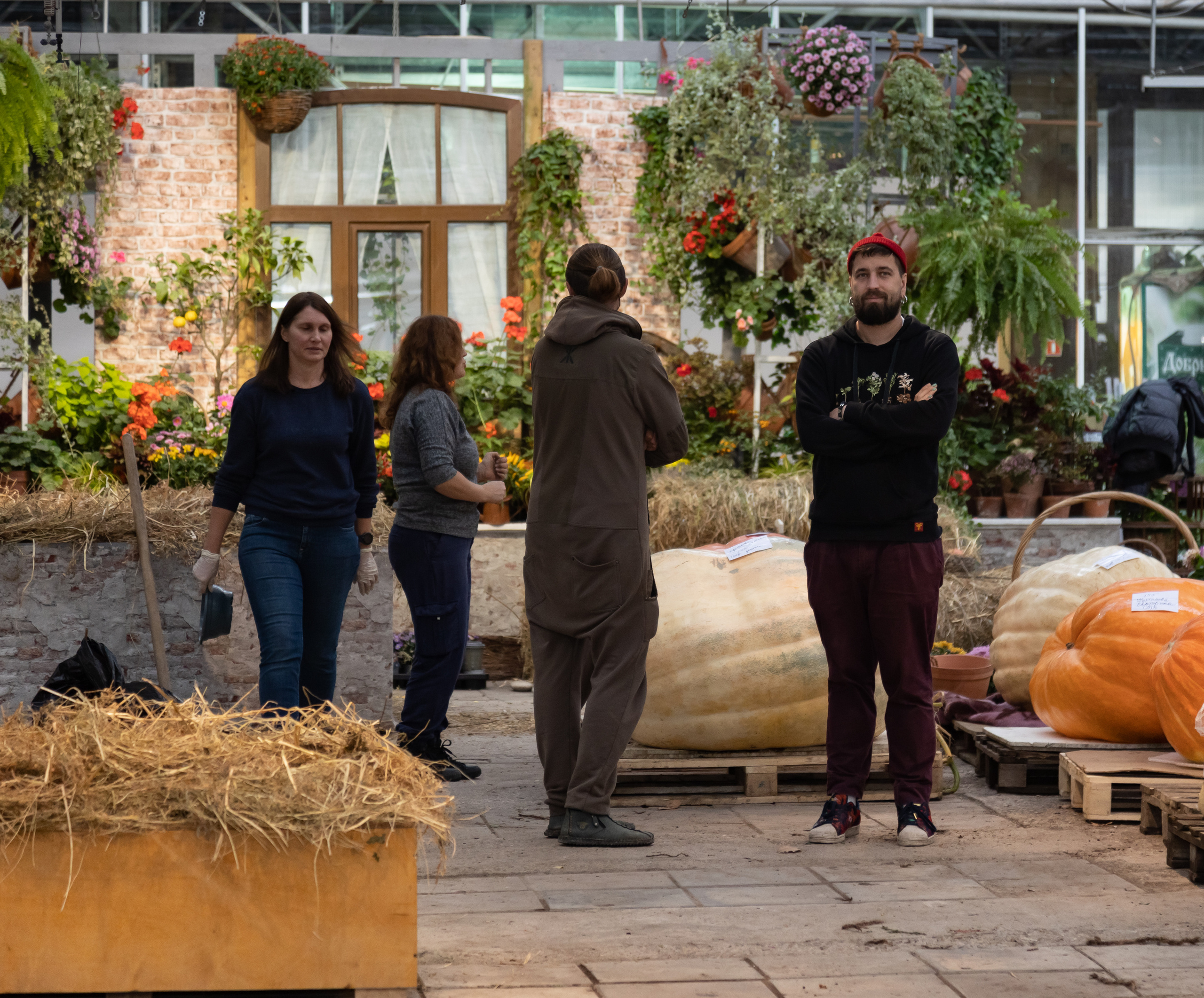 Гигантские тыквы в Ботаническом саду МГУ "Аптекарский огород". Maria Poleshchuk, commercial photographer in Sydney