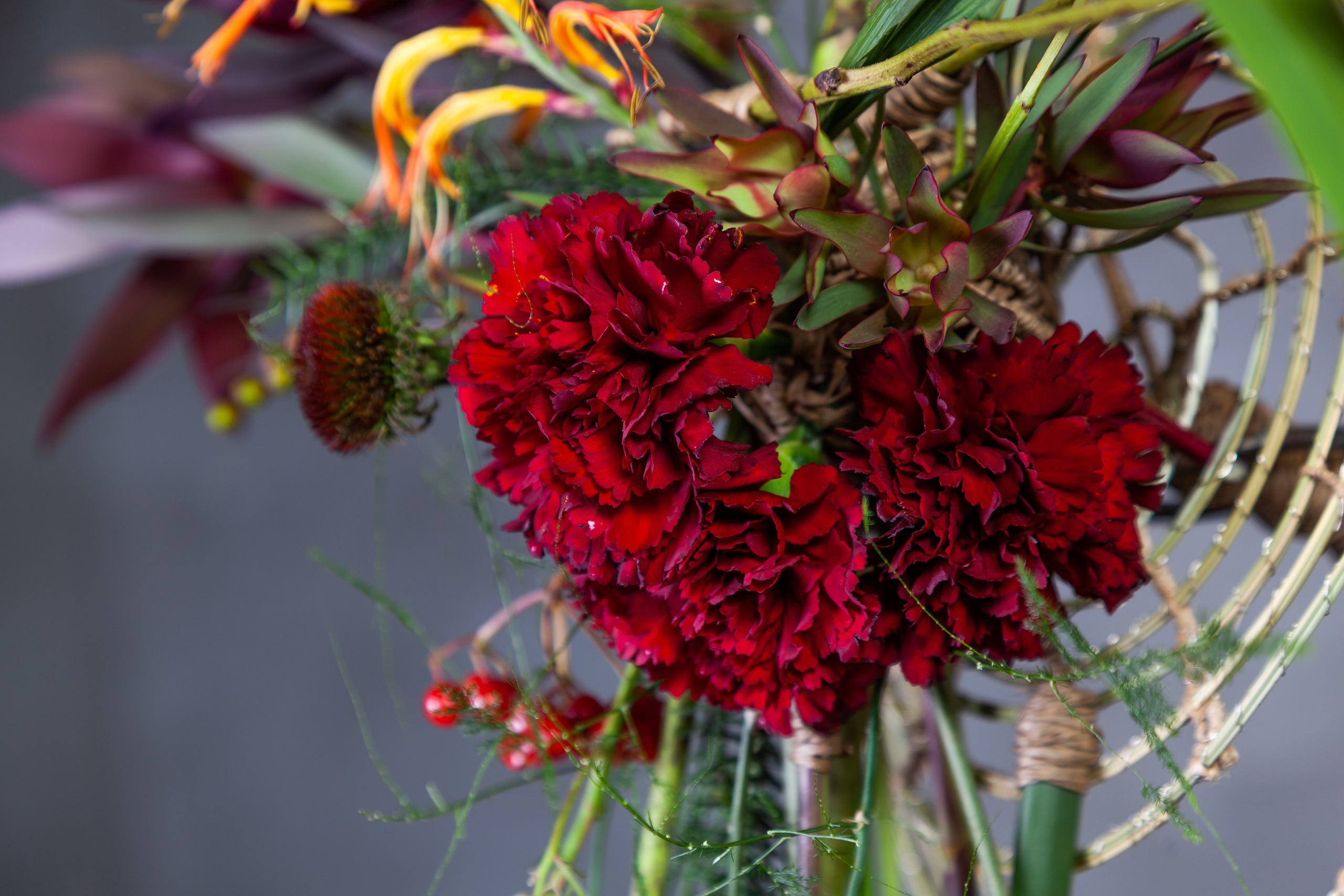 Работы Анастасии Андреенко. Maria Poleshchuk, commercial photographer in Sydney