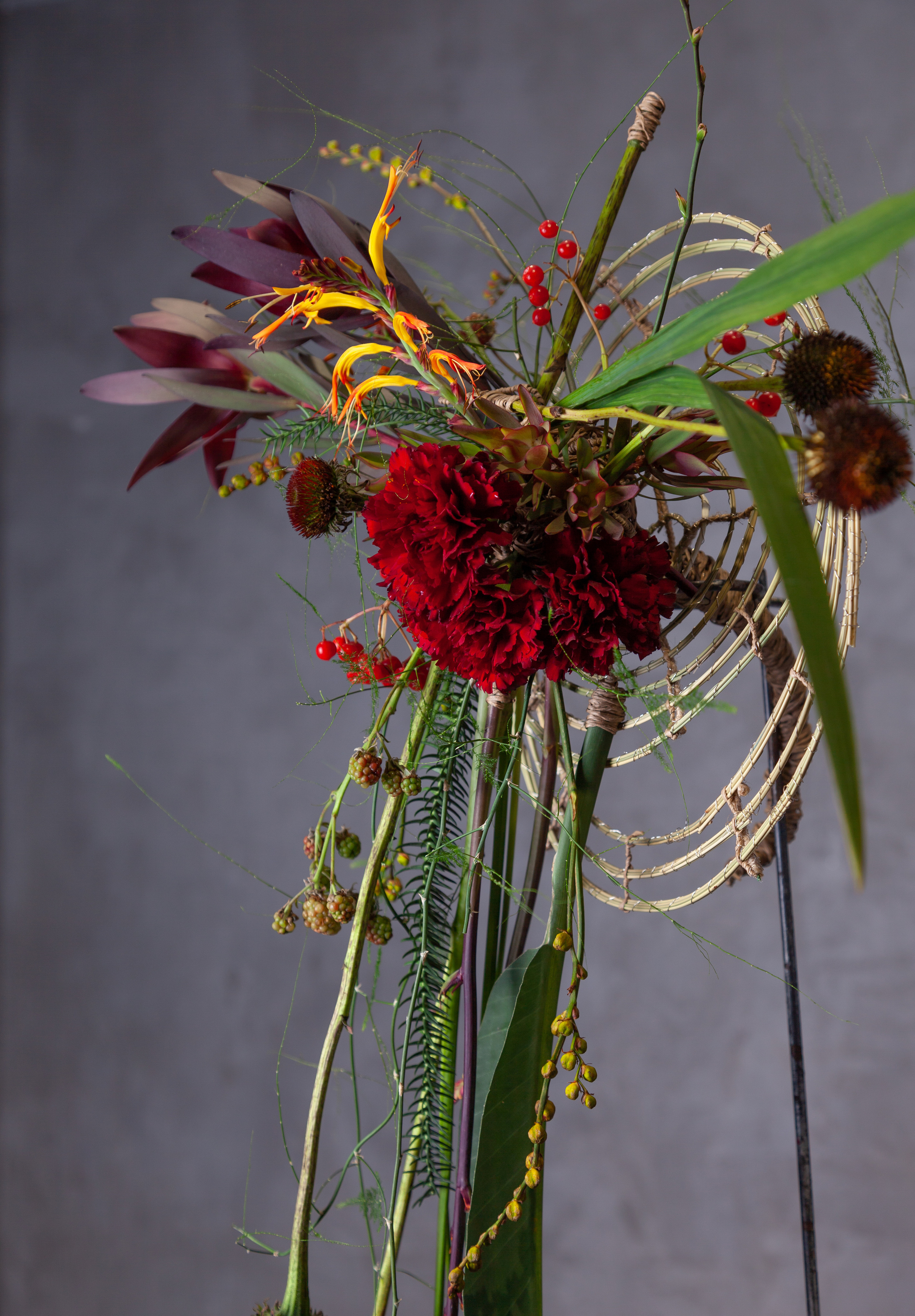 Работы Анастасии Андреенко. Maria Poleshchuk, commercial photographer in Sydney