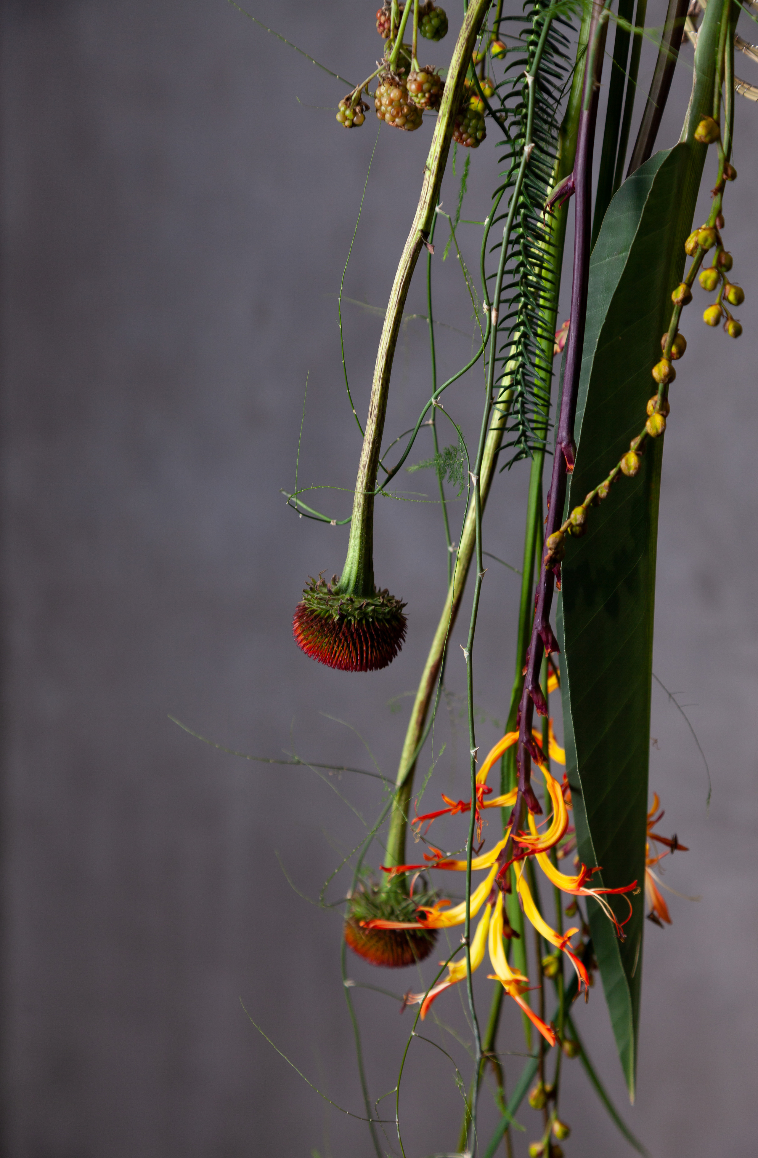 Работы Анастасии Андреенко. Maria Poleshchuk, commercial photographer in Sydney