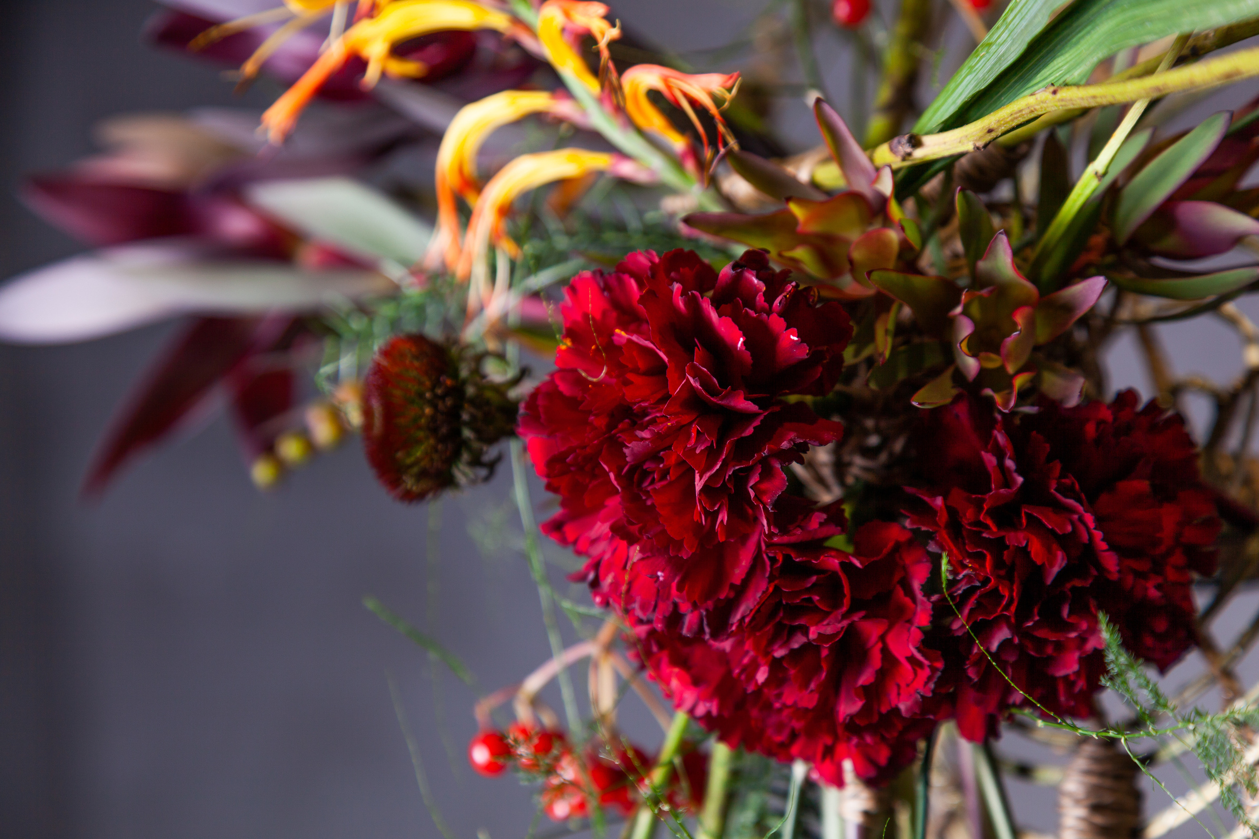 Работы Анастасии Андреенко. Maria Poleshchuk, commercial photographer in Sydney