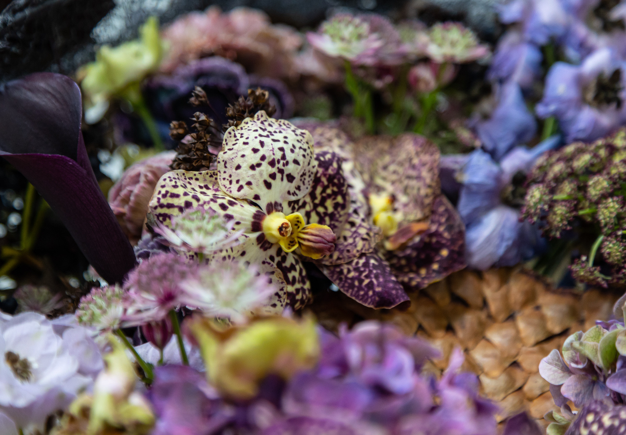 Ванда - фиолетовая орхидея в окружении цветов близких оттенков