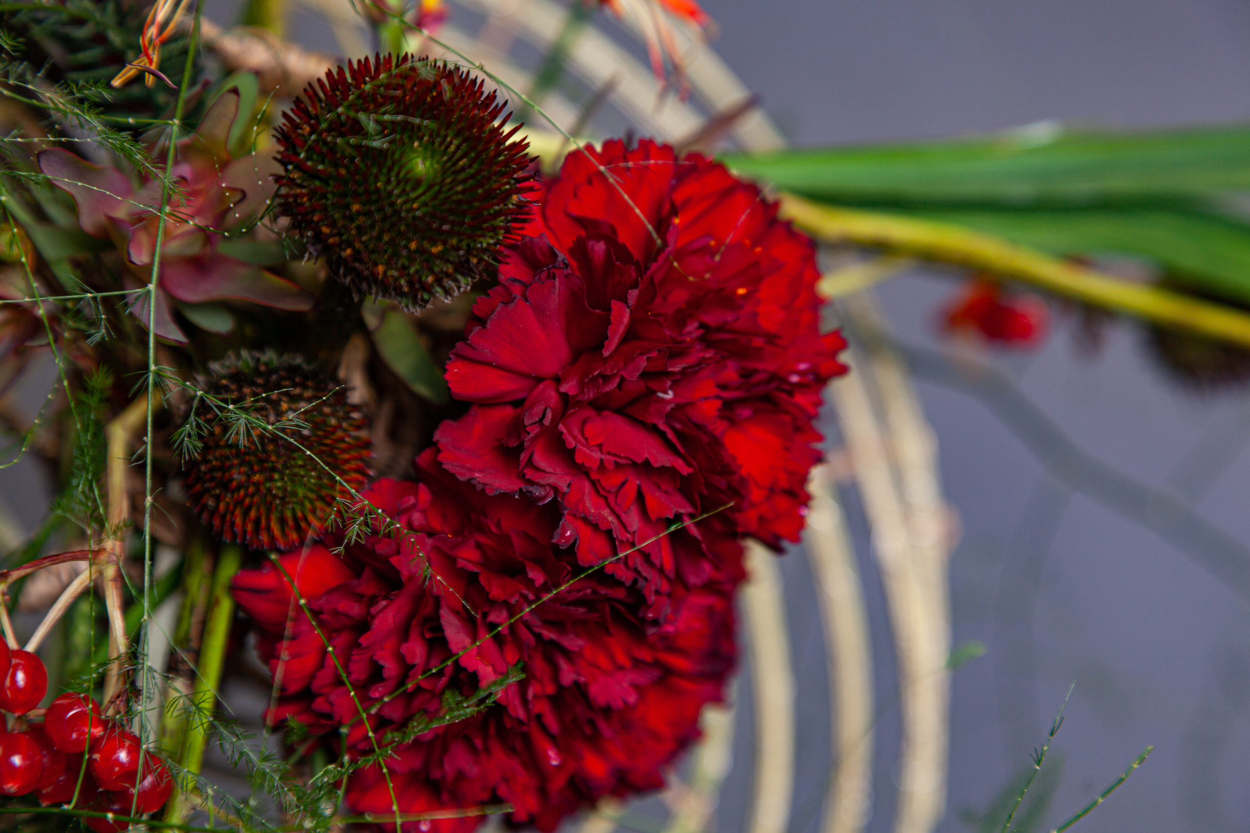 Работы Анастасии Андреенко. Maria Poleshchuk, commercial photographer in Sydney