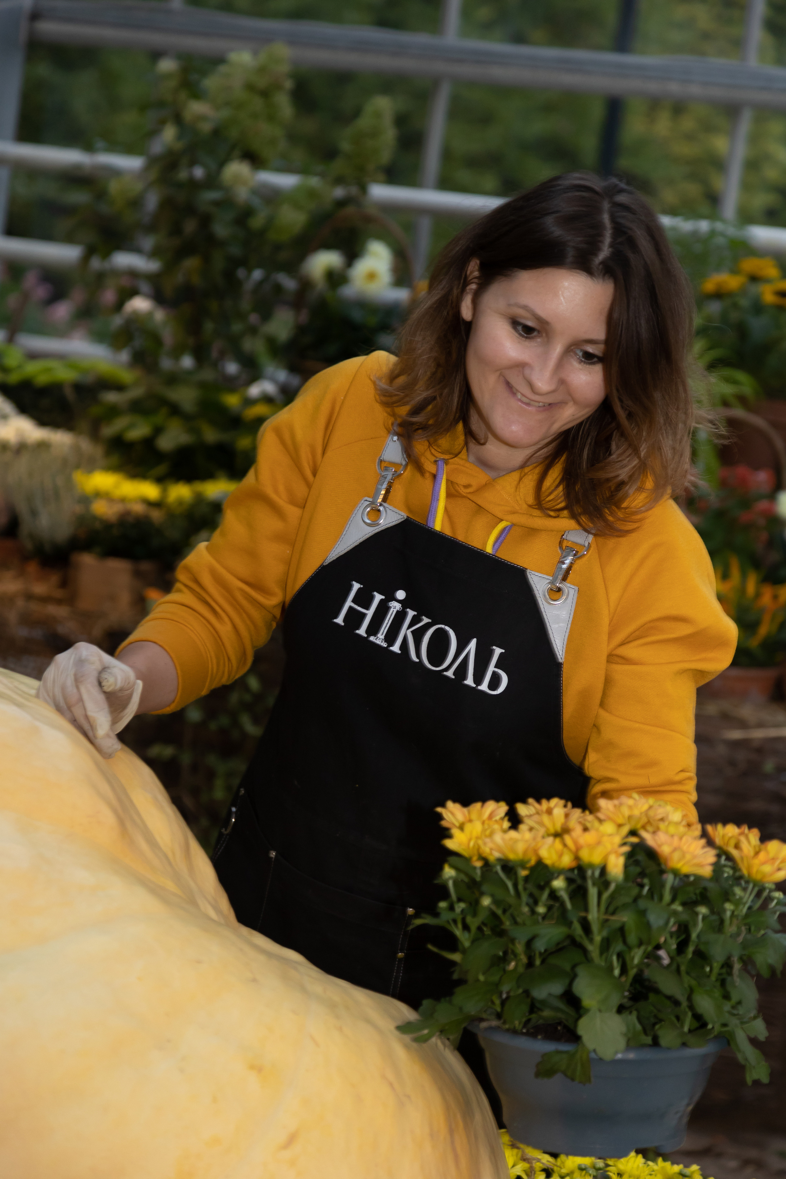 Гигантские тыквы в Ботаническом саду МГУ "Аптекарский огород". Maria Poleshchuk, commercial photographer in Sydney
