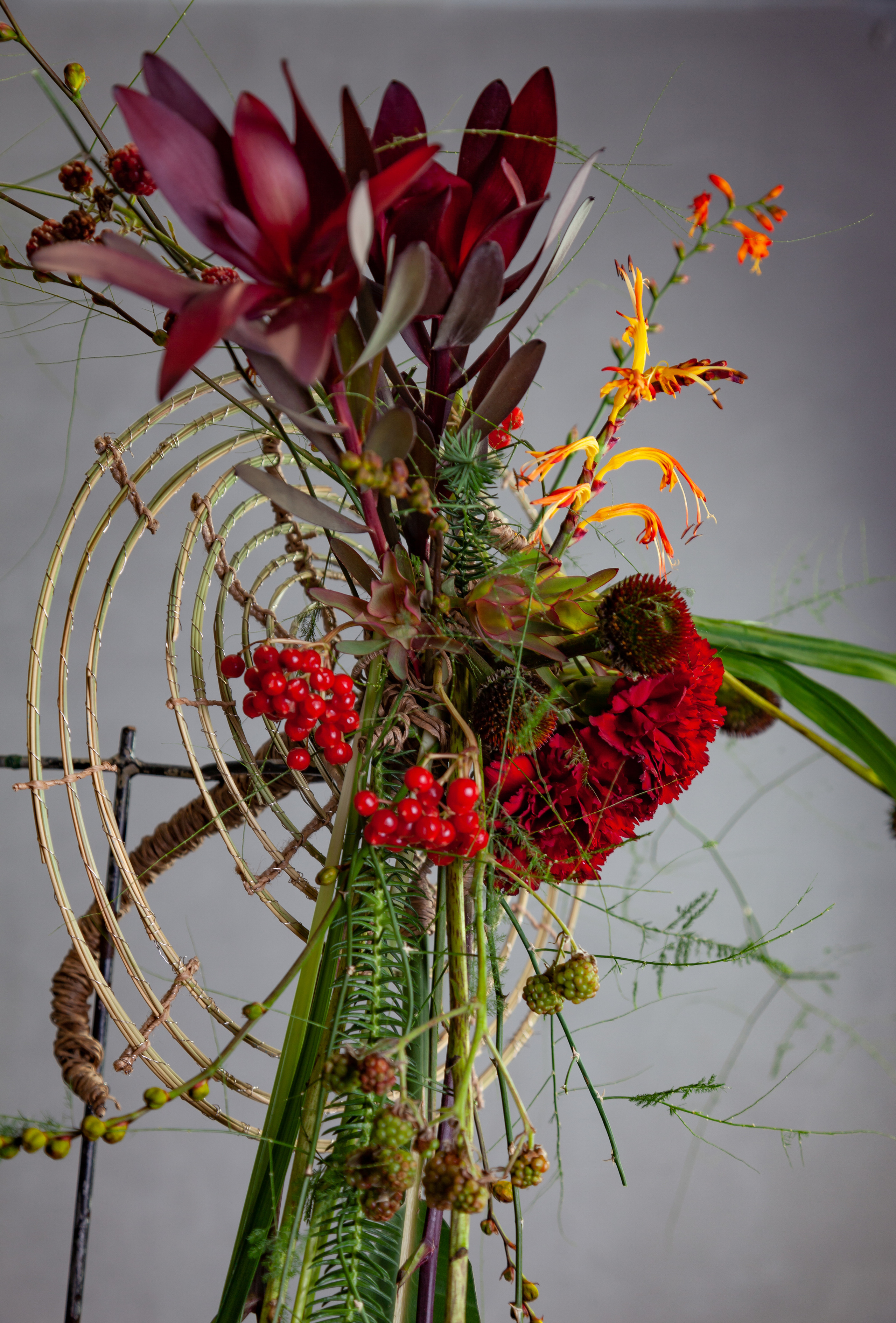 Работы Анастасии Андреенко. Maria Poleshchuk, commercial photographer in Sydney