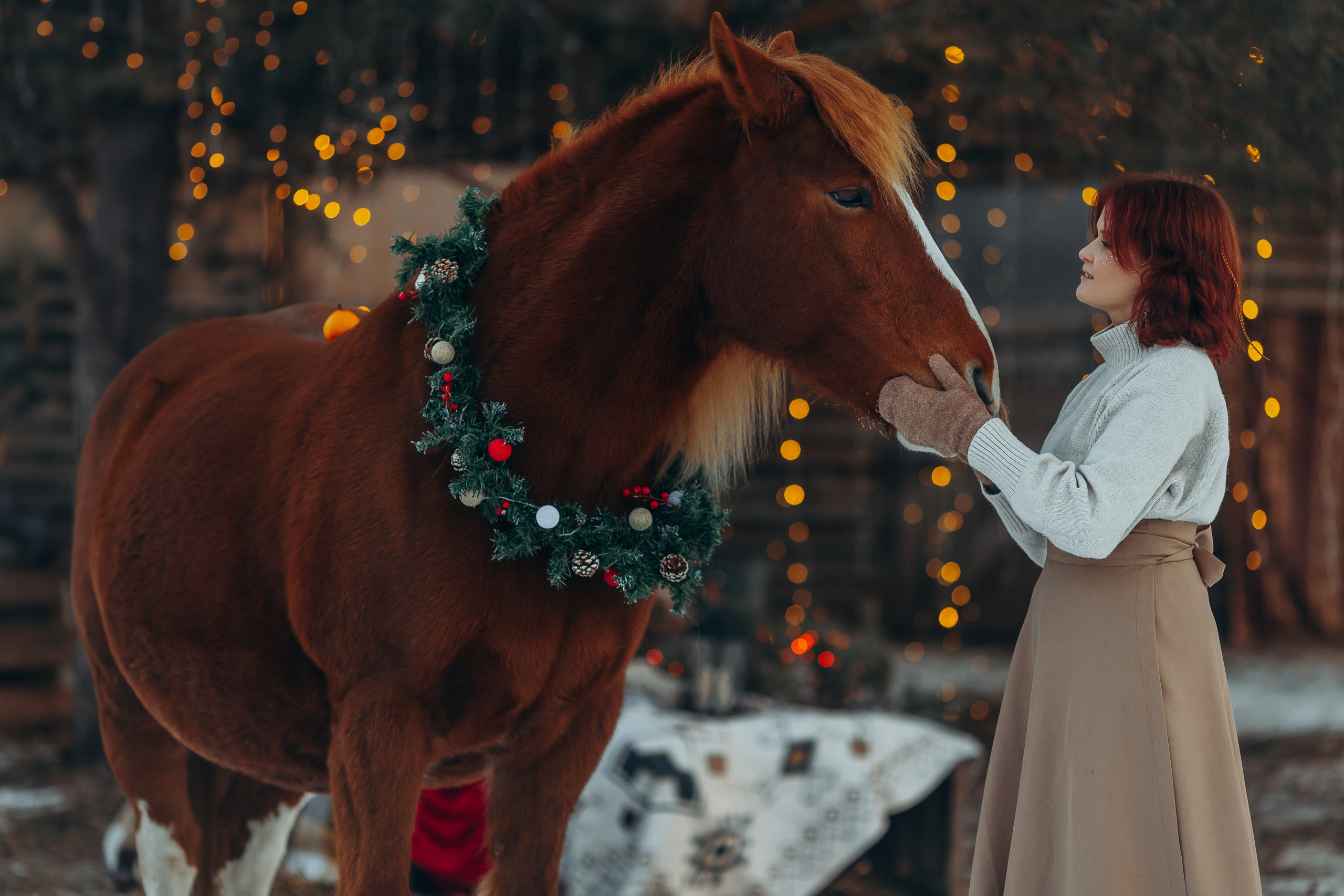 Тариф новогодний 2024. Анна Молчанова конный фотограф в Тюмени | фотосессии с лошадьми Тюмень