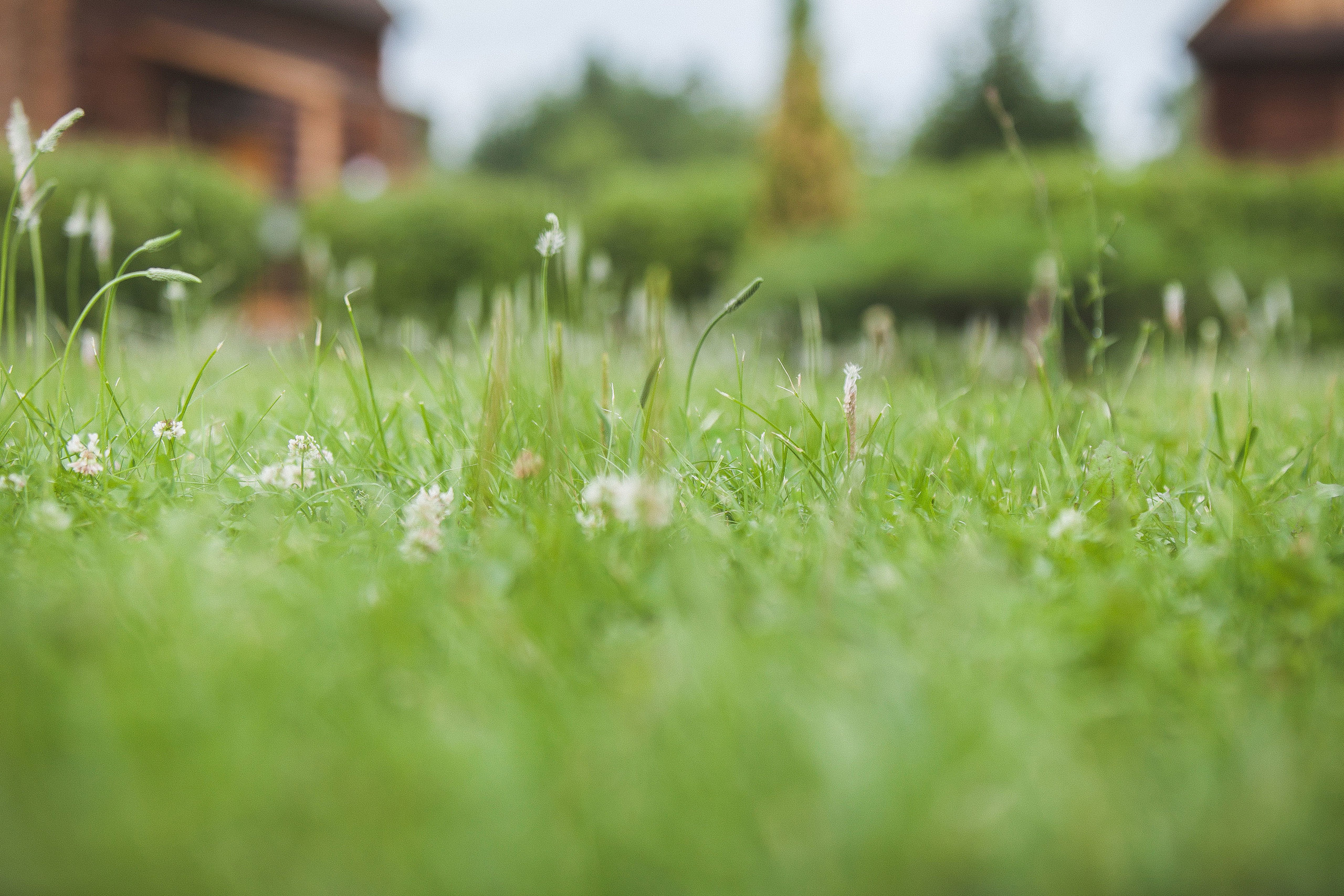 Роберт и Милия. Свадебный, семейный и школьный фотограф в Сызрани Максим Баталов