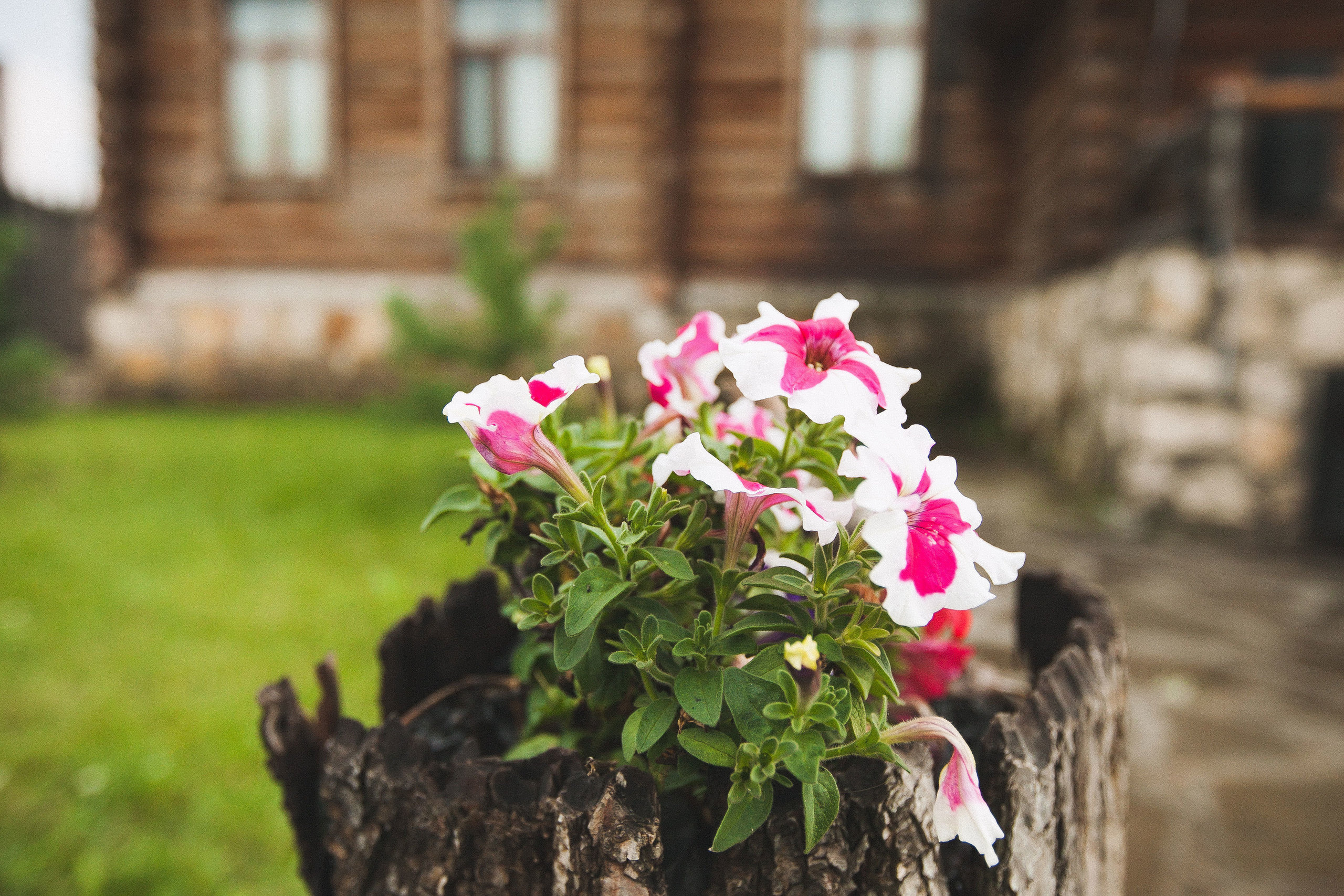Роберт и Милия. Свадебный, семейный и школьный фотограф в Сызрани Максим Баталов
