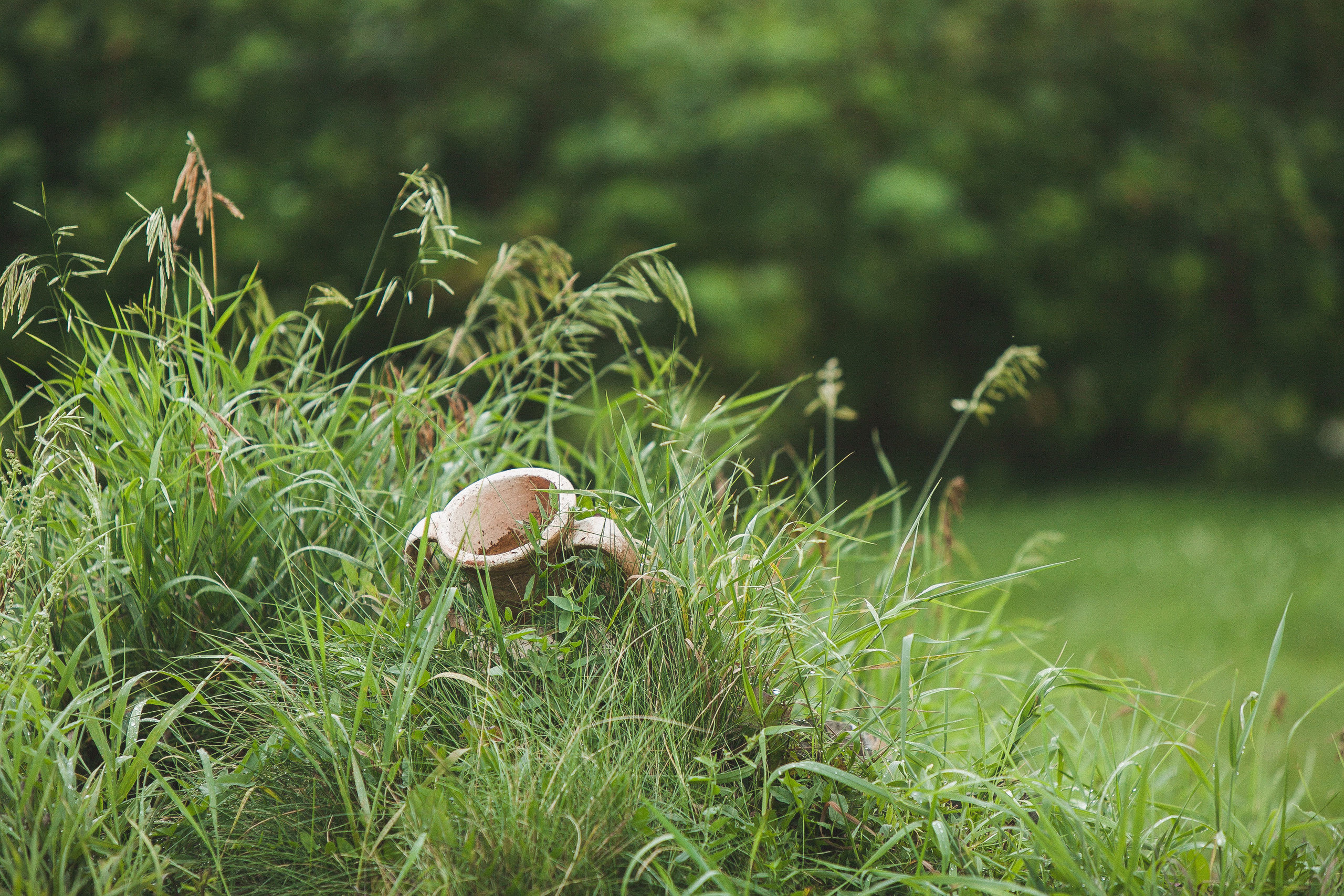 Роберт и Милия. Свадебный, семейный и школьный фотограф в Сызрани Максим Баталов