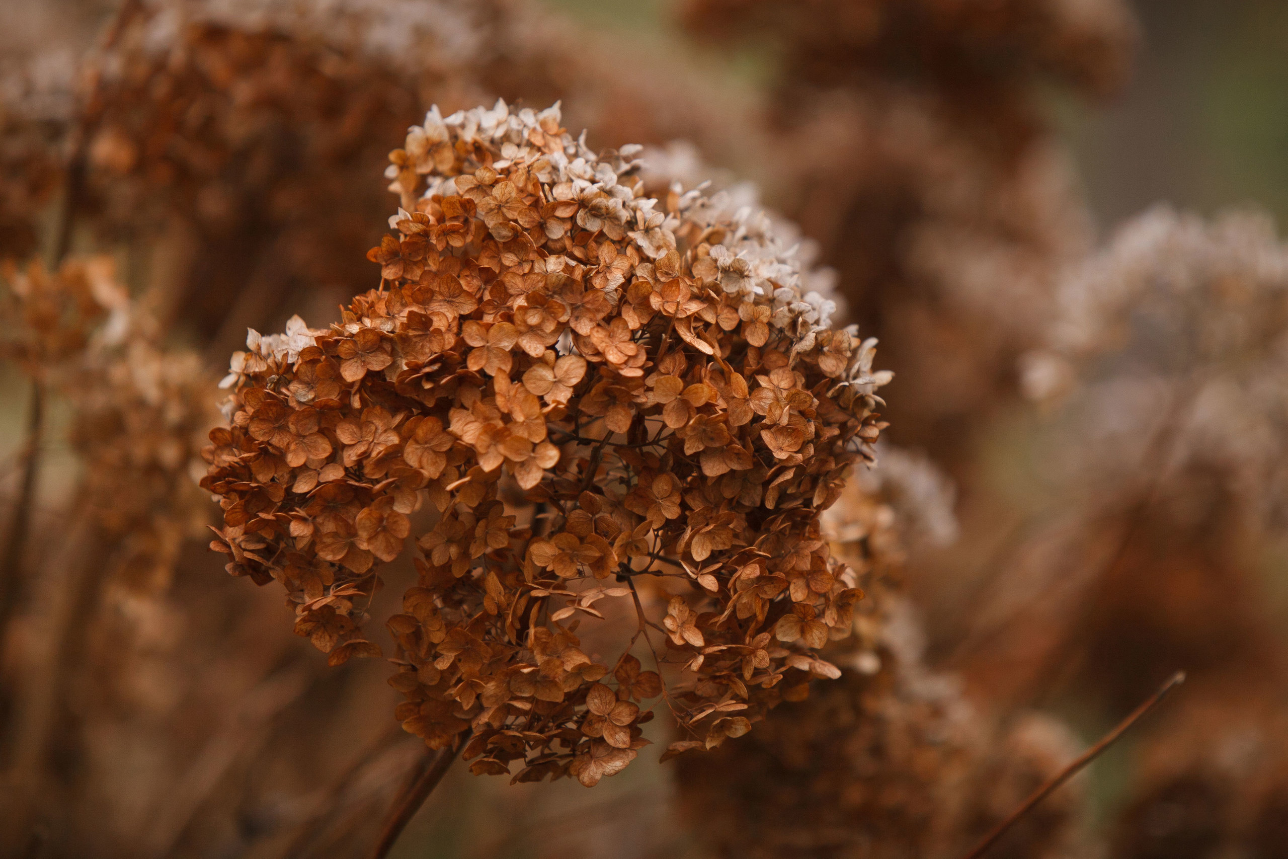 Фотограф на крещение в Сызрани. Свадебный, семейный и школьный фотограф в Сызрани Максим Баталов