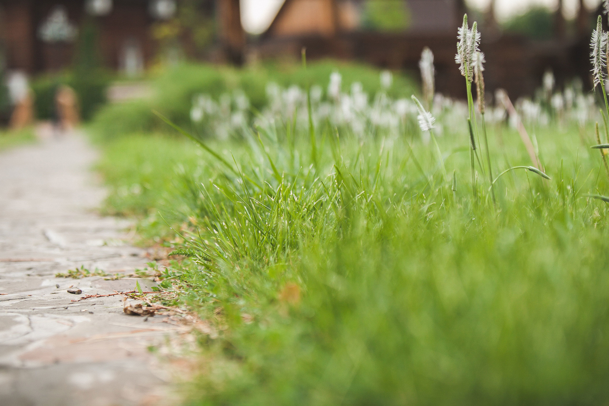 Роберт и Милия. Свадебный, семейный и школьный фотограф в Сызрани Максим Баталов