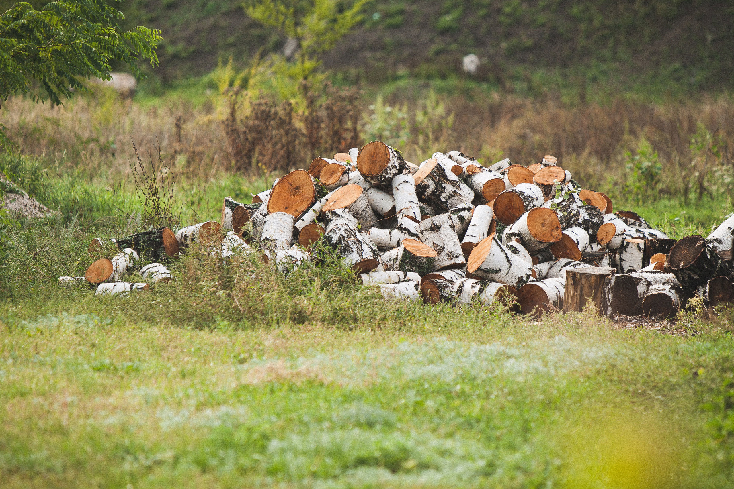 Роберт и Милия. Свадебный, семейный и школьный фотограф в Сызрани Максим Баталов