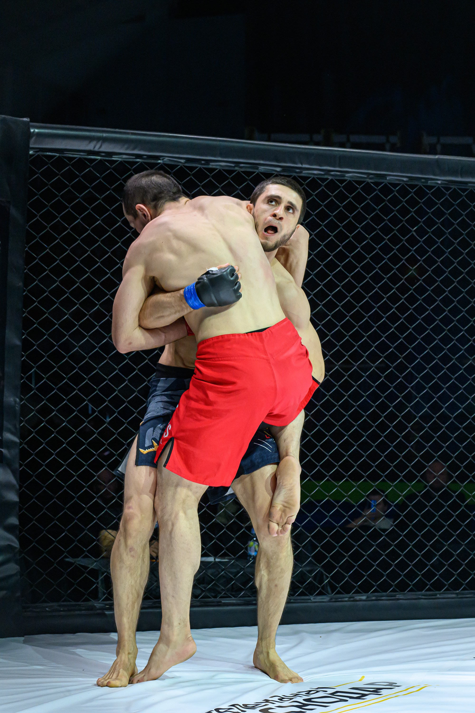 Фотосъемка профессионального турнира по смешанным единоборствам. Профессиональная фотосъемка. Ростов-на-Дону