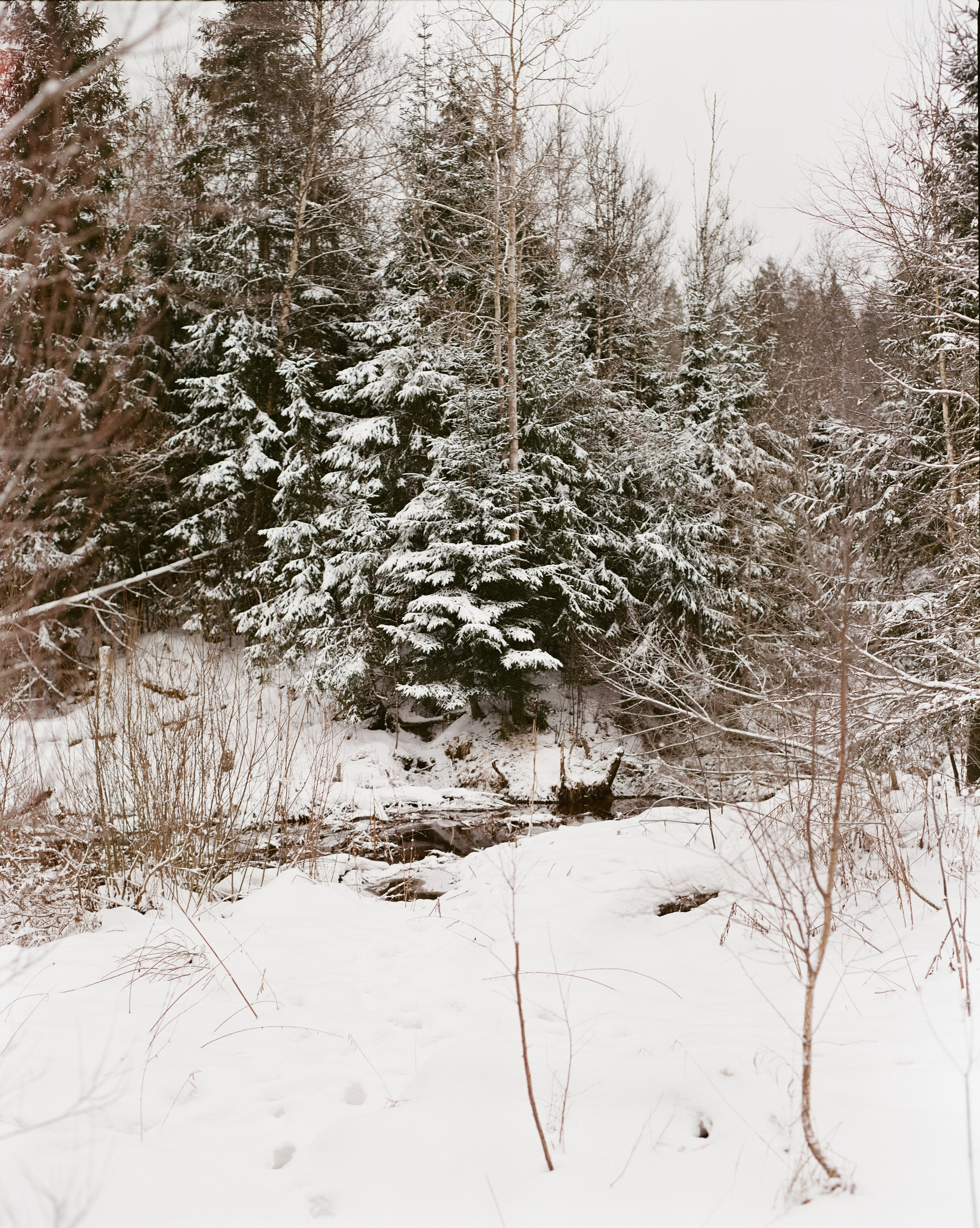 Pentax 67 105 mm f/2.4