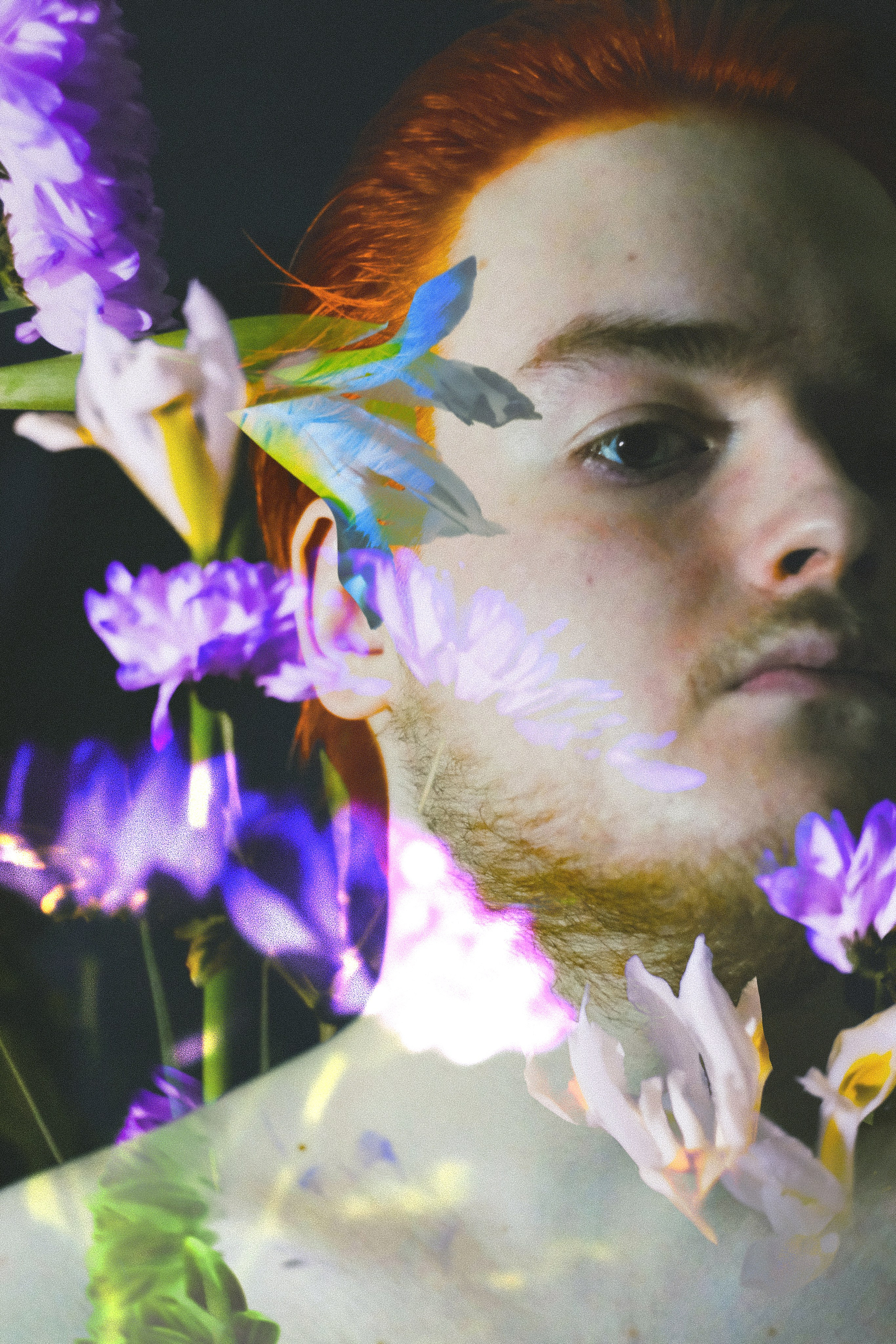 Проекты. Прометей ~ Фотограф