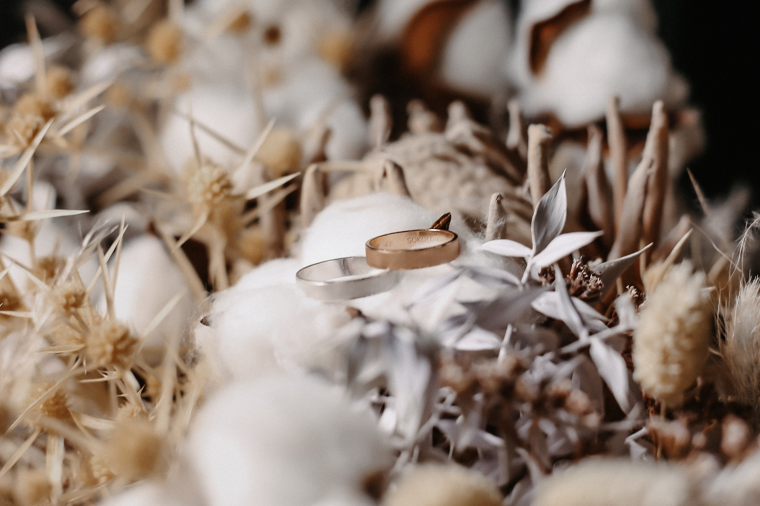 Фото-Видеосъемка любых мероприятий Москва Ростов