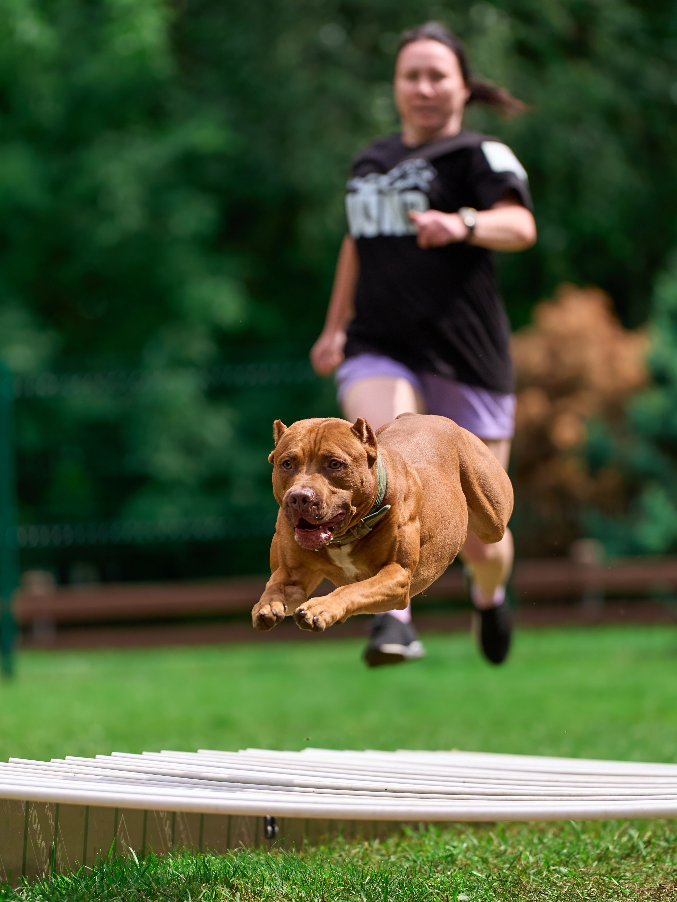 Jump'n'Gym JUMP! — 2024. Фотограф-анималист Михаил Манухин