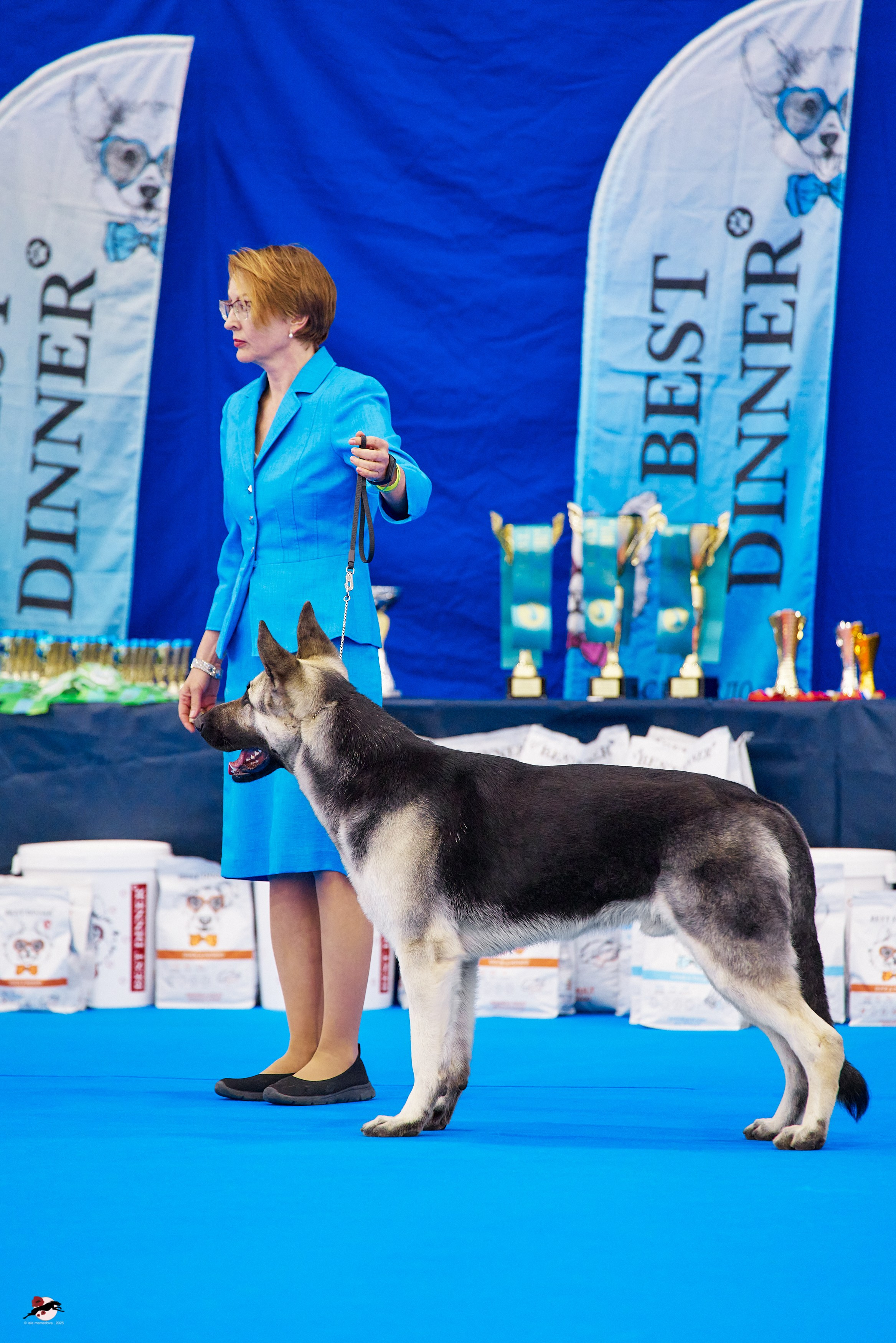 ГРАН ПРИ «ВЕСЕННИЙ ПЕТЕРБУРГ» & «СУПЕР КУБОК «ЭЛИТЫ»-2025»