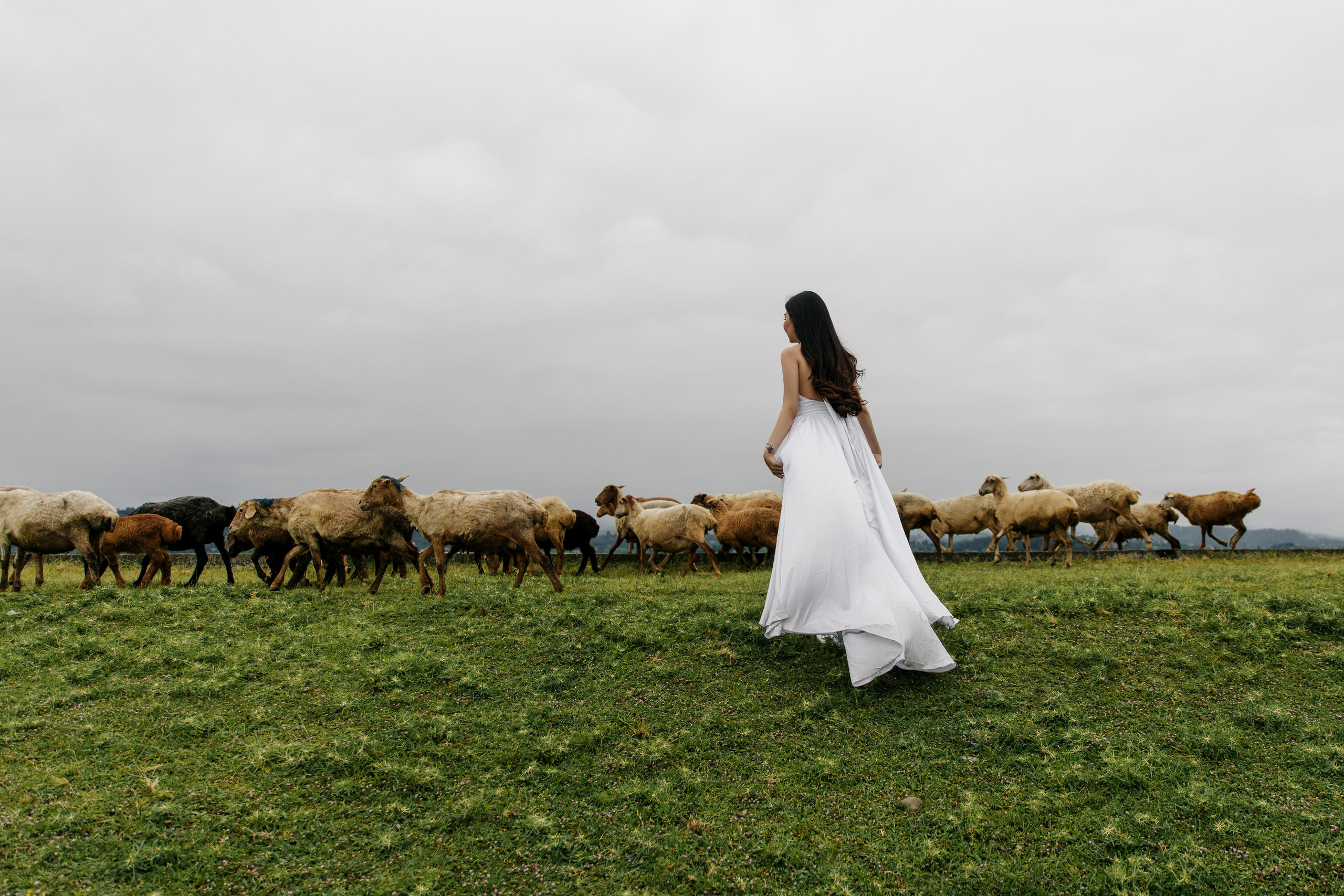 ___________________________________________________