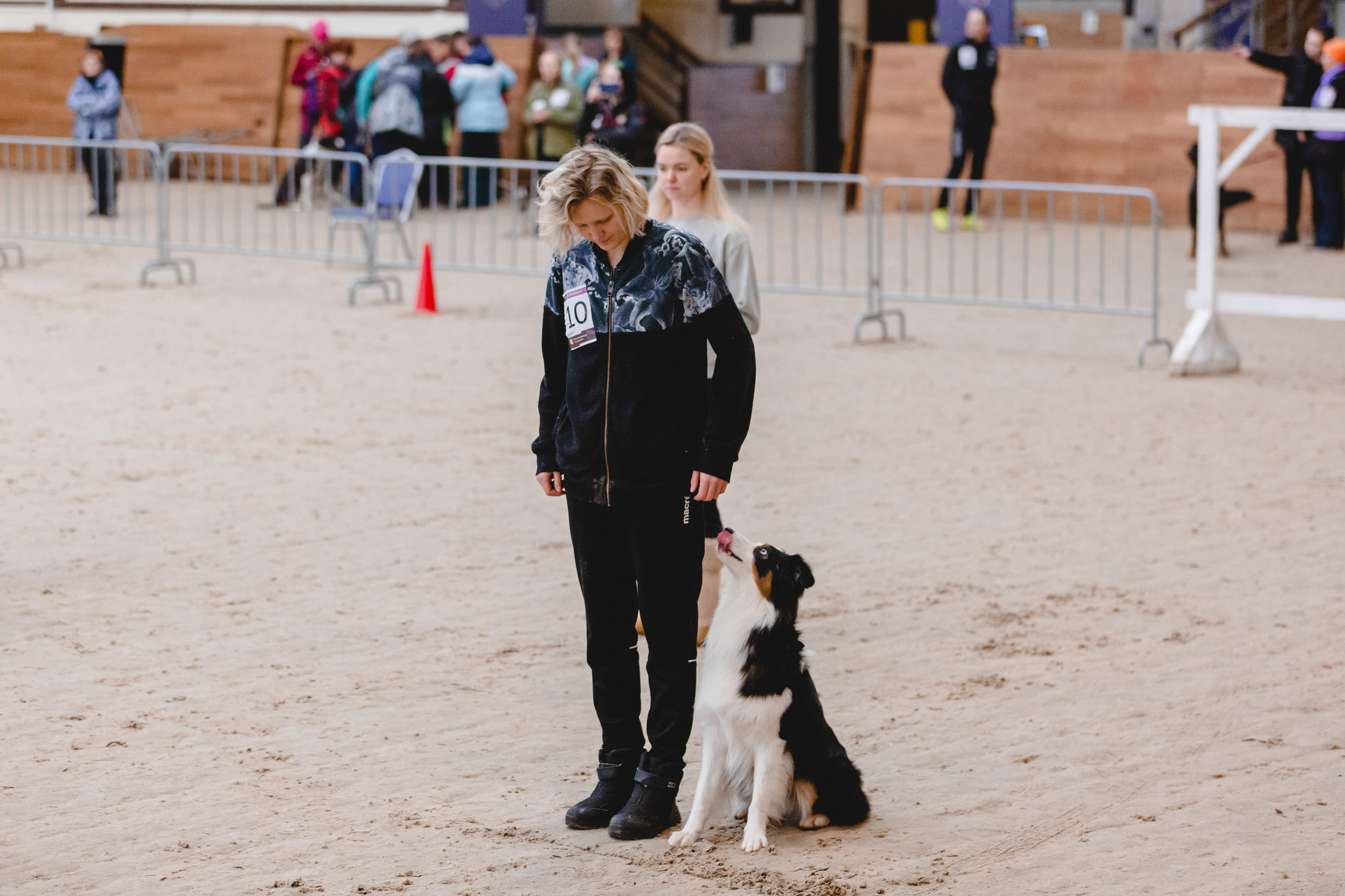 Гелий. BLGKV питомник собак