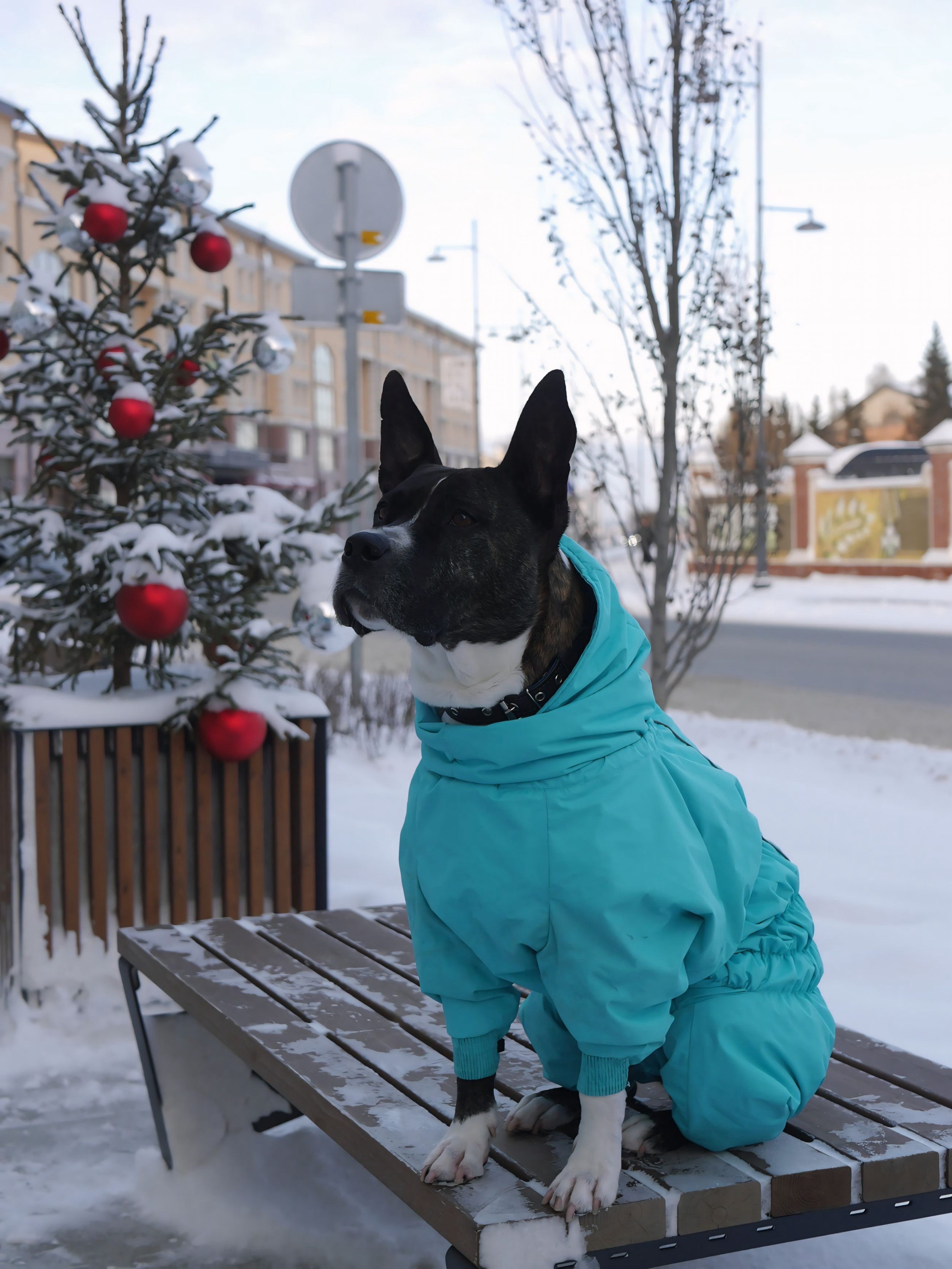 Анастасия и Арчи