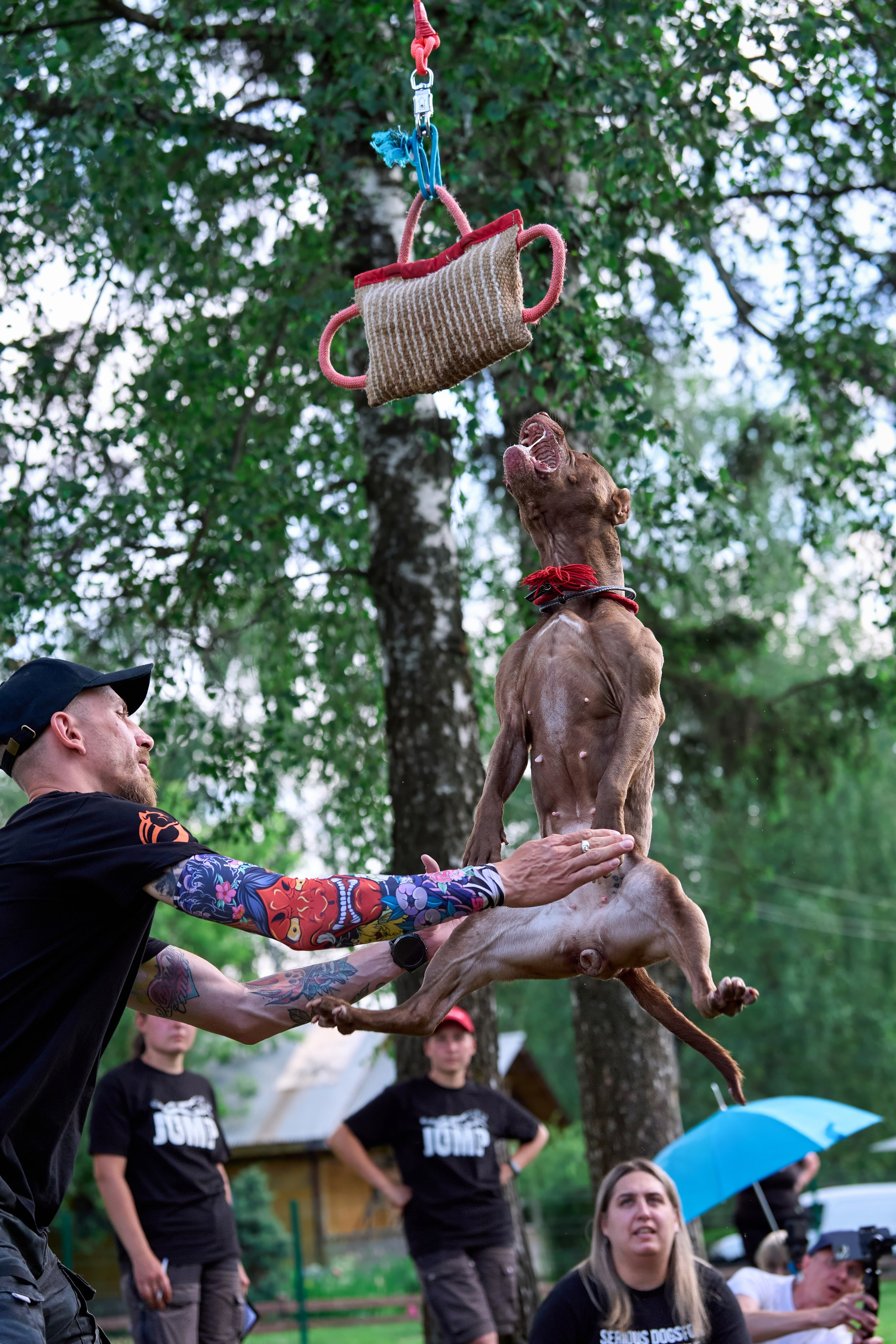 Двухдневные соревнования «Jump'n'Gym Fest — 2024». Фотограф-анималист Михаил Манухин