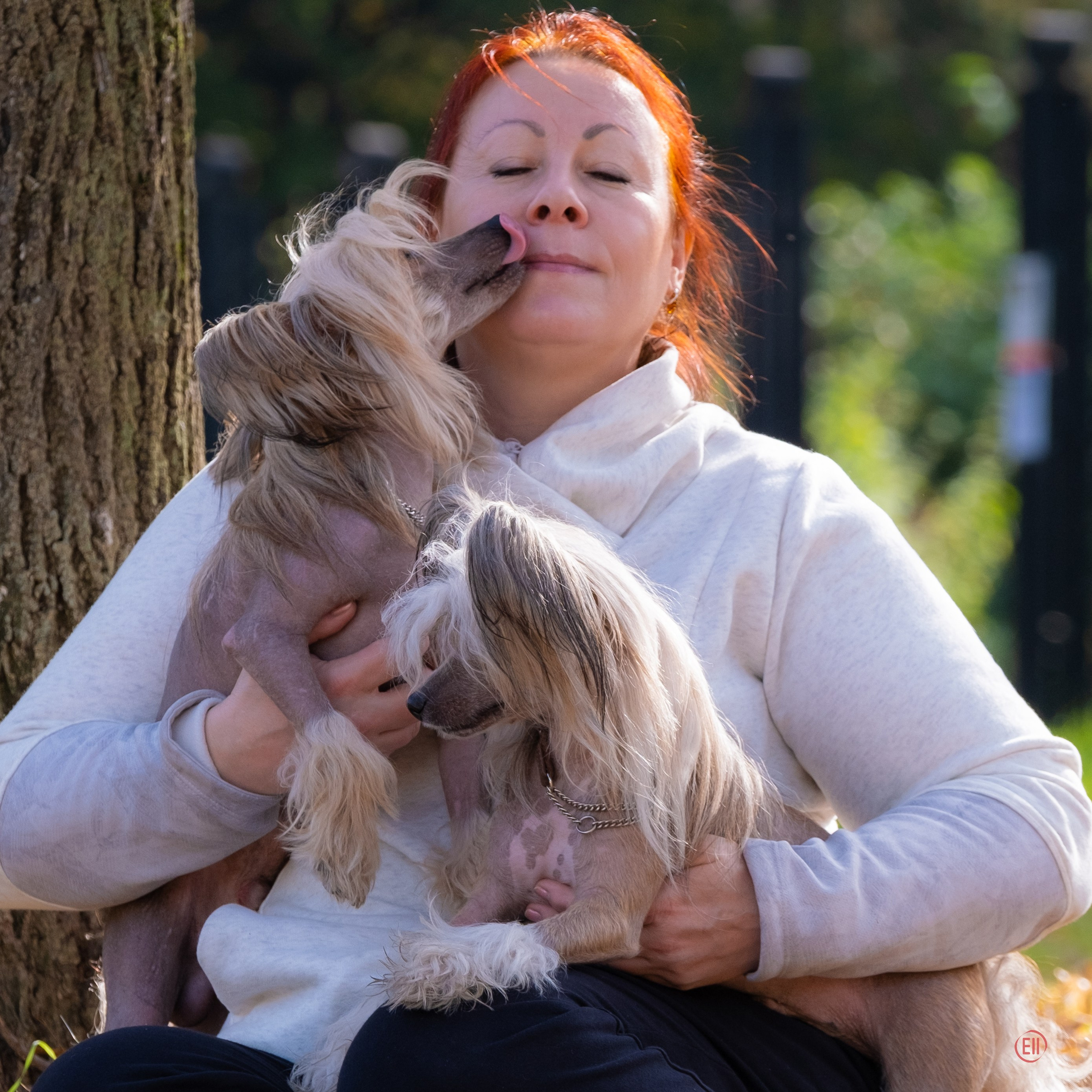 On a walk. Chinese Crested Dog Kennel Poale Ell