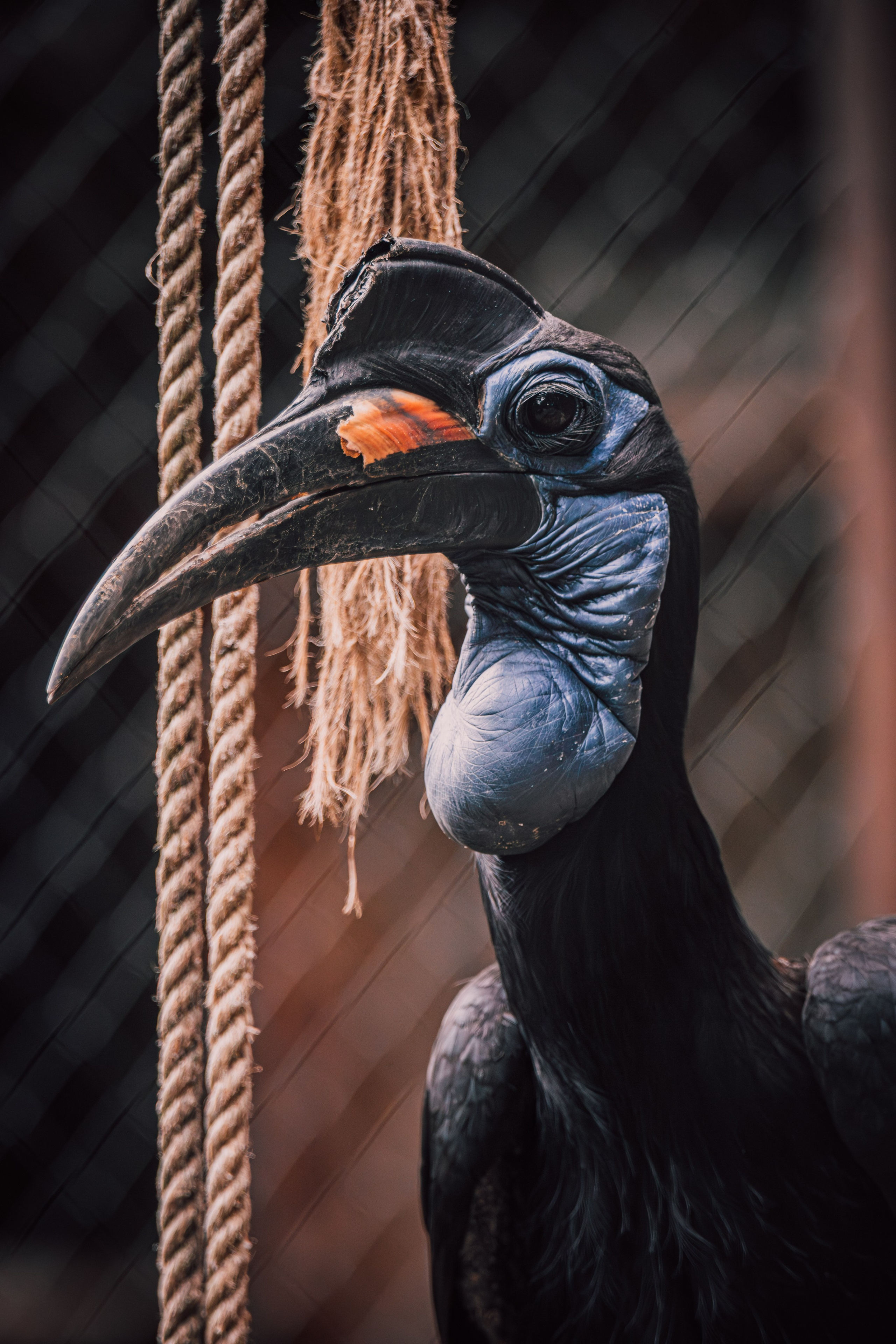 — Digital Noise —