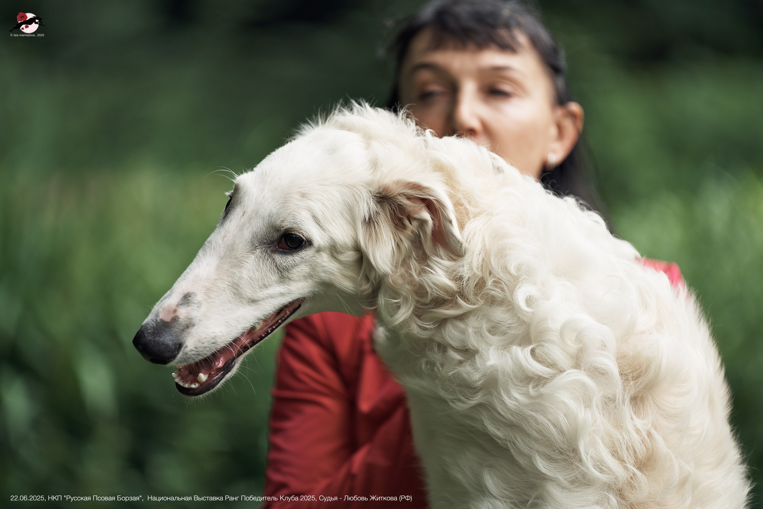 22.06.2025 | Национальная Выставка НКП "Русская Псовая Борзая"