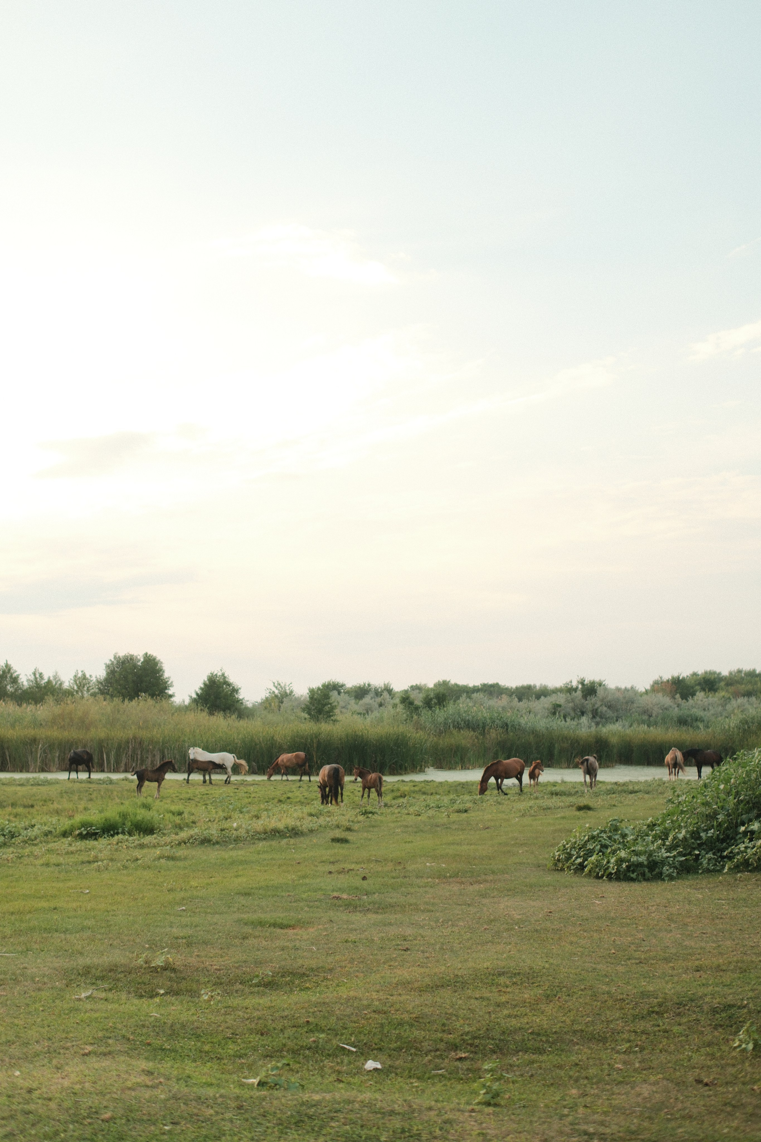 Внезапная фотосессия. Фотограф/Видеограф из Саратова