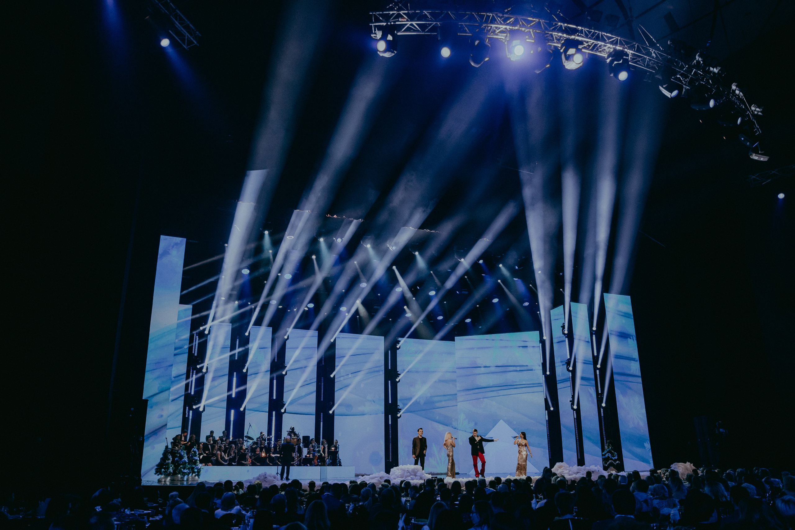 Главный Новогодний Концерт в Crocus City Hall. «Птичка на проводе»: информационный портал в Москве