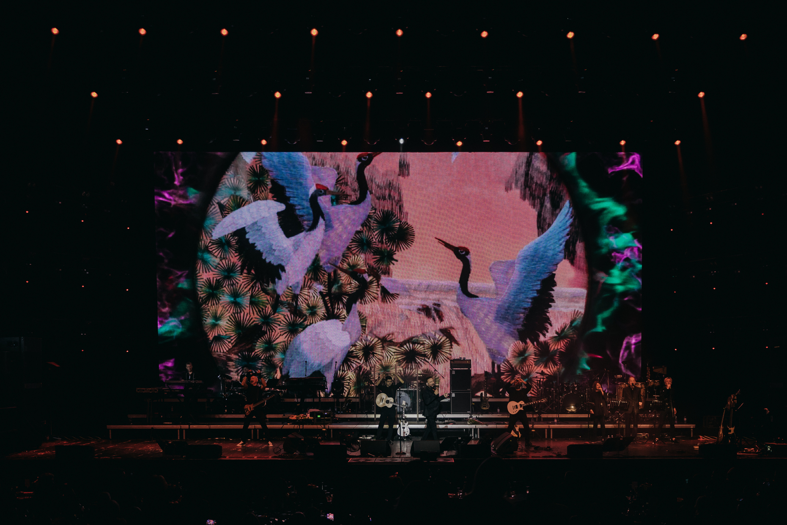 на праздничном концерте Я нравлюсь женщинам в Москве