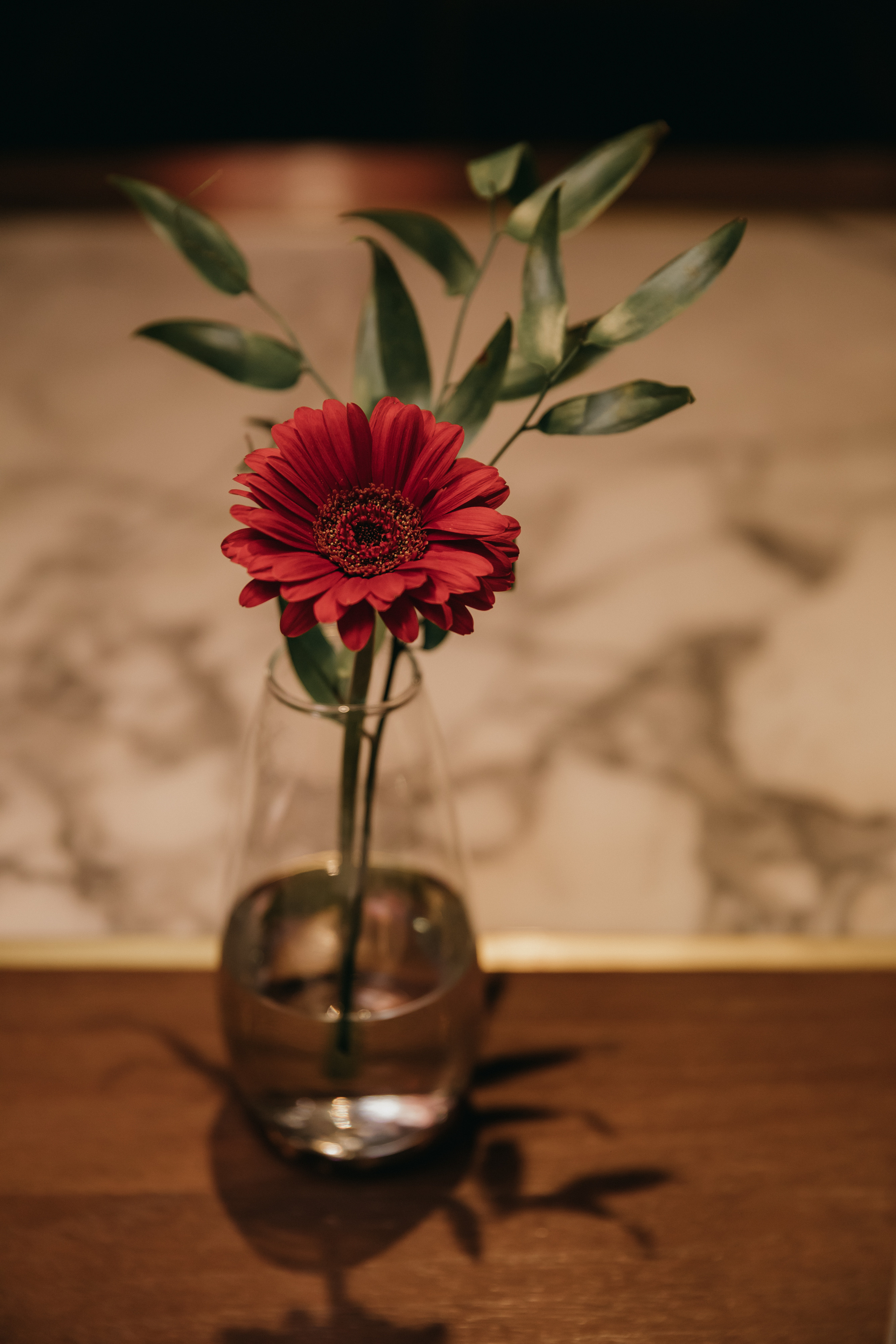 Премьера «Орел & Решка. Кино» в Москве. «Птичка на проводе»: информационный портал в Москве