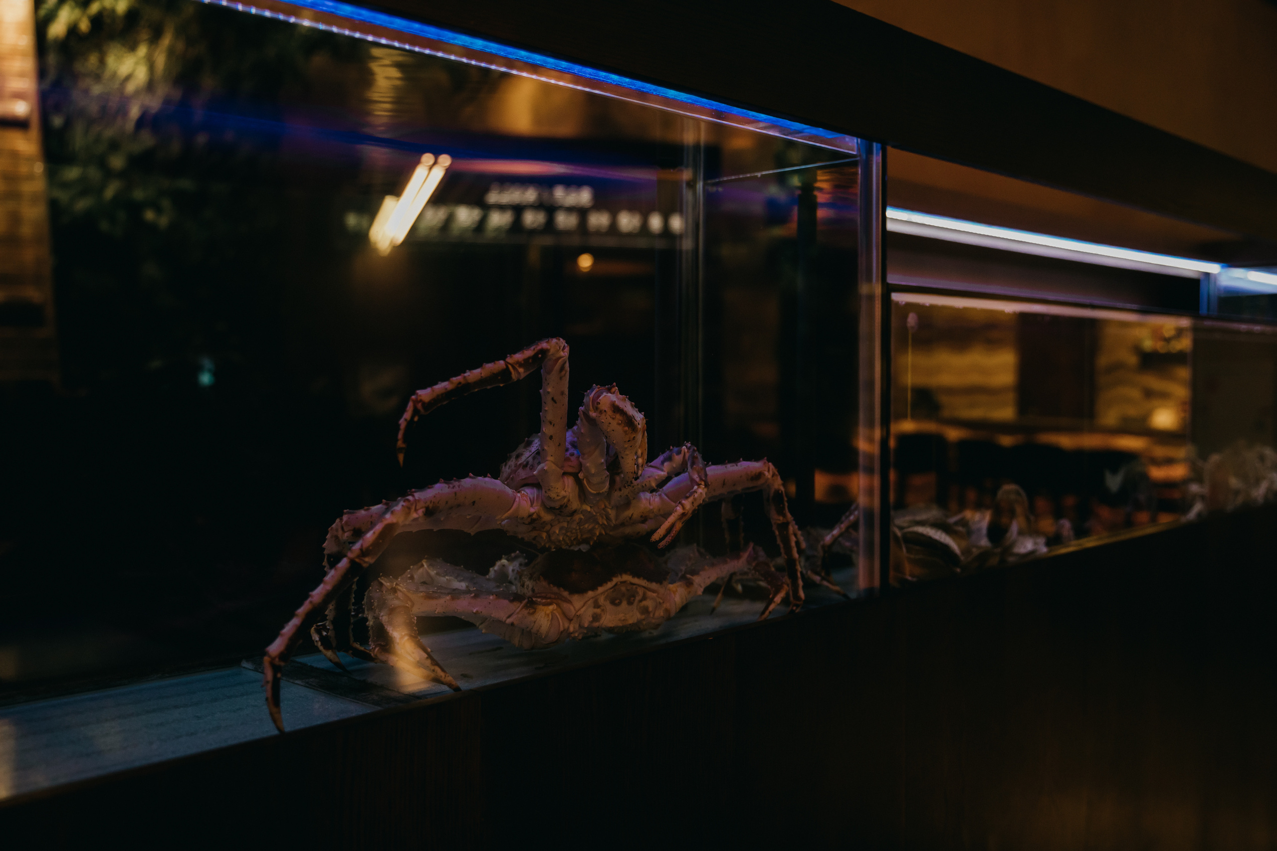 Премьера «Орел & Решка. Кино» в Москве. «Птичка на проводе»: информационный портал в Москве