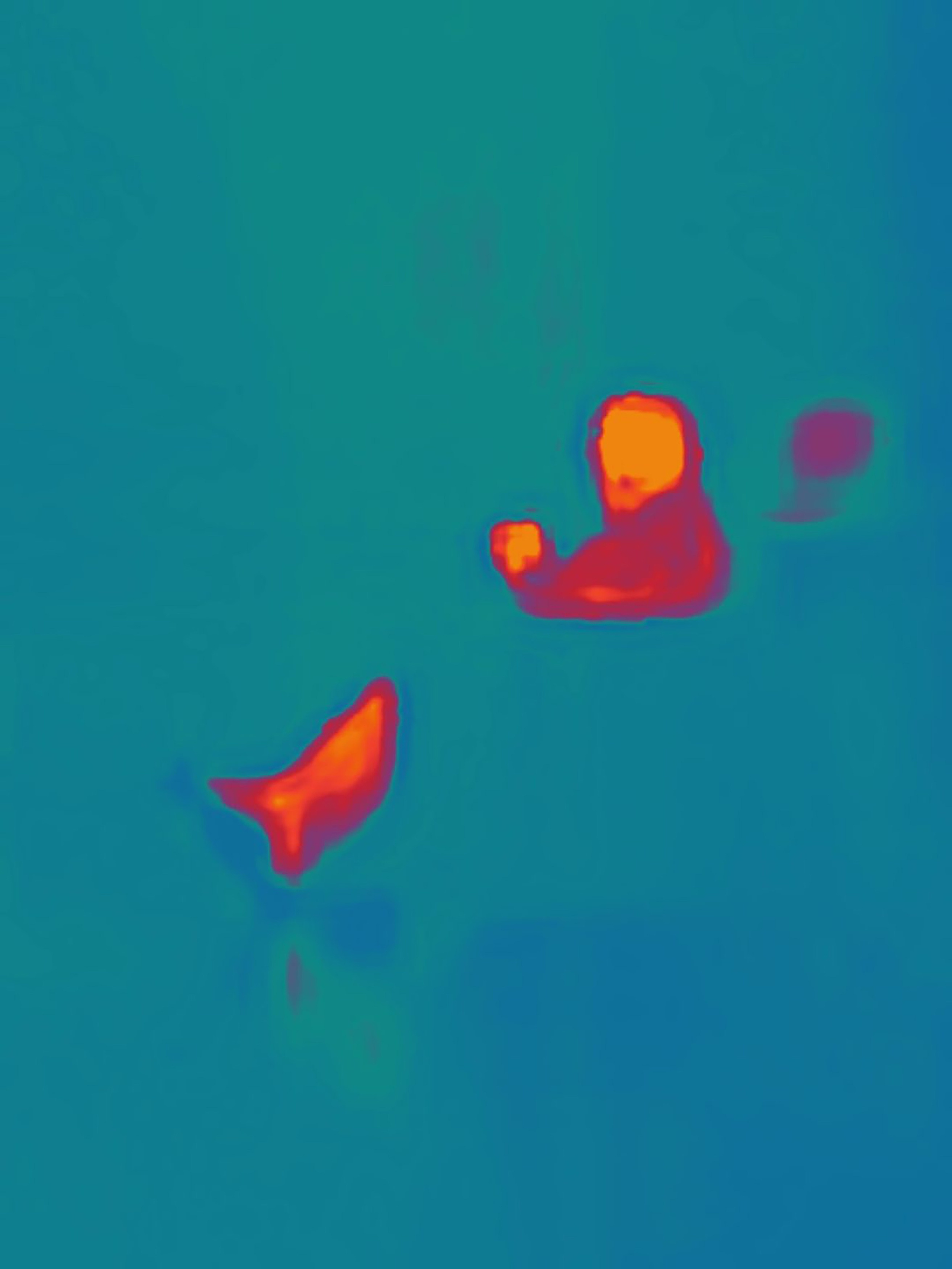 Red Heat. Igor Tereshkov