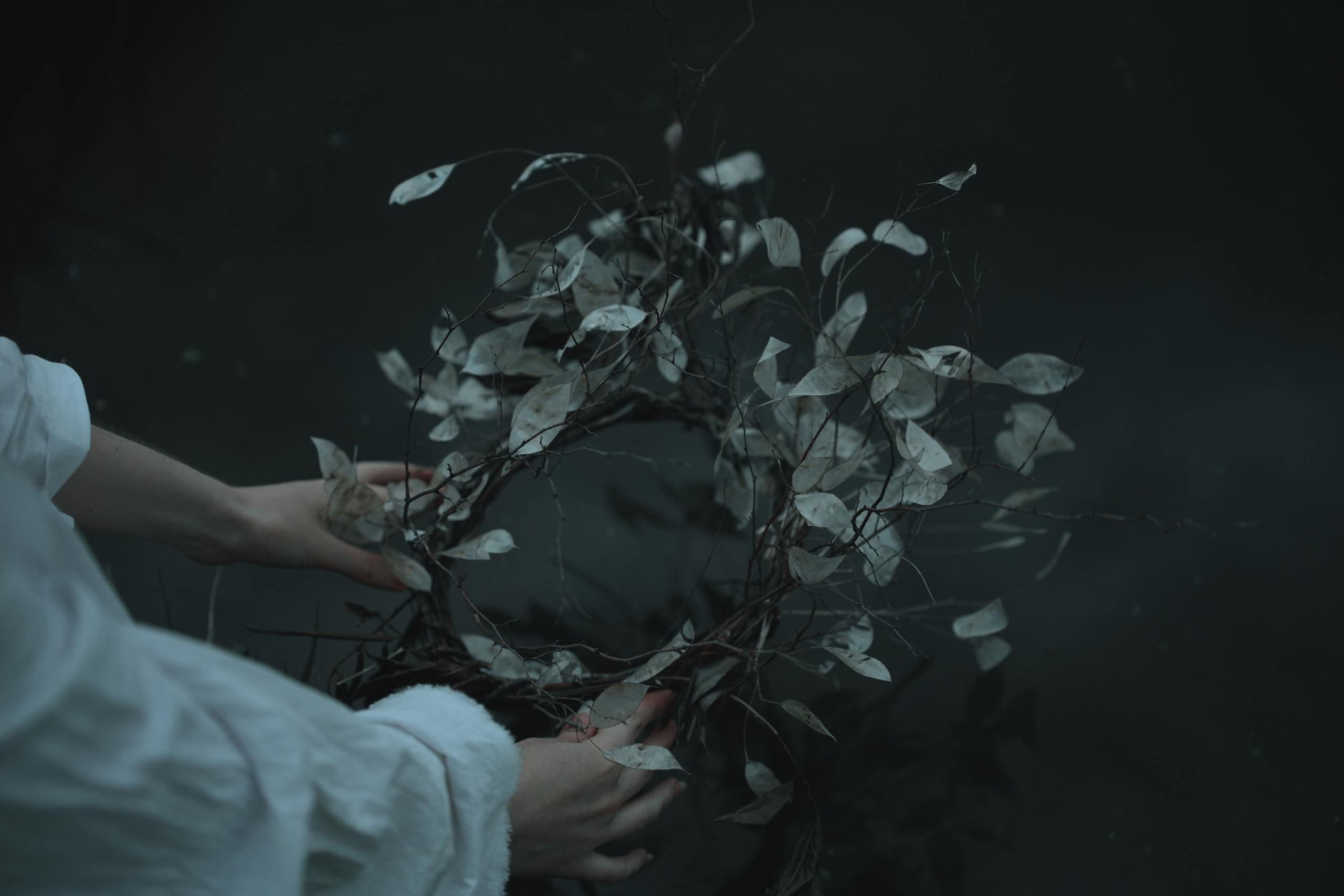 MAVKA. Арт-фотограф. Coffelisk