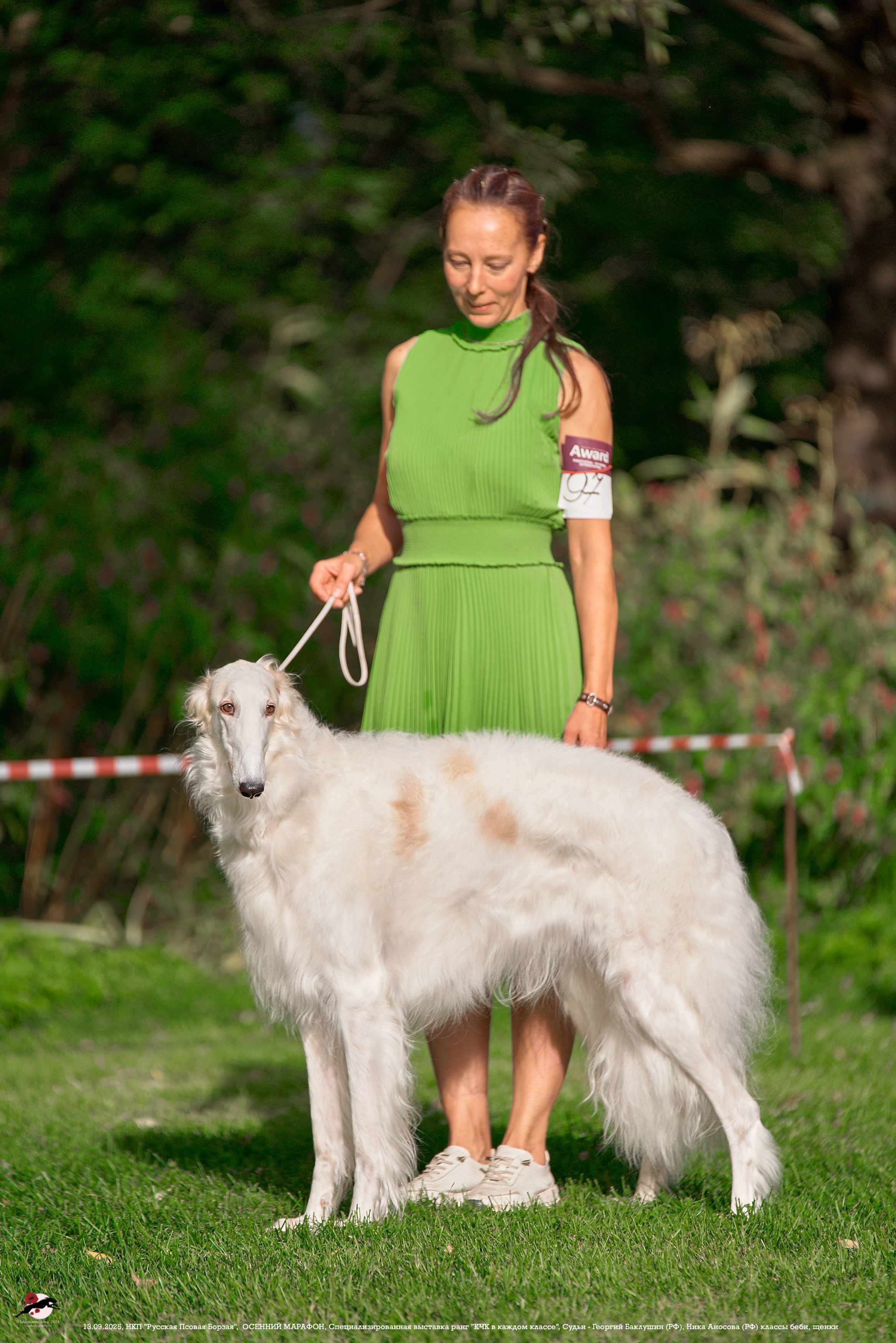 ОСЕННИЙ МАРАФОН | Специализированная выставка породы Русская Псовая Борзая ранг "КЧК в каждом классе"