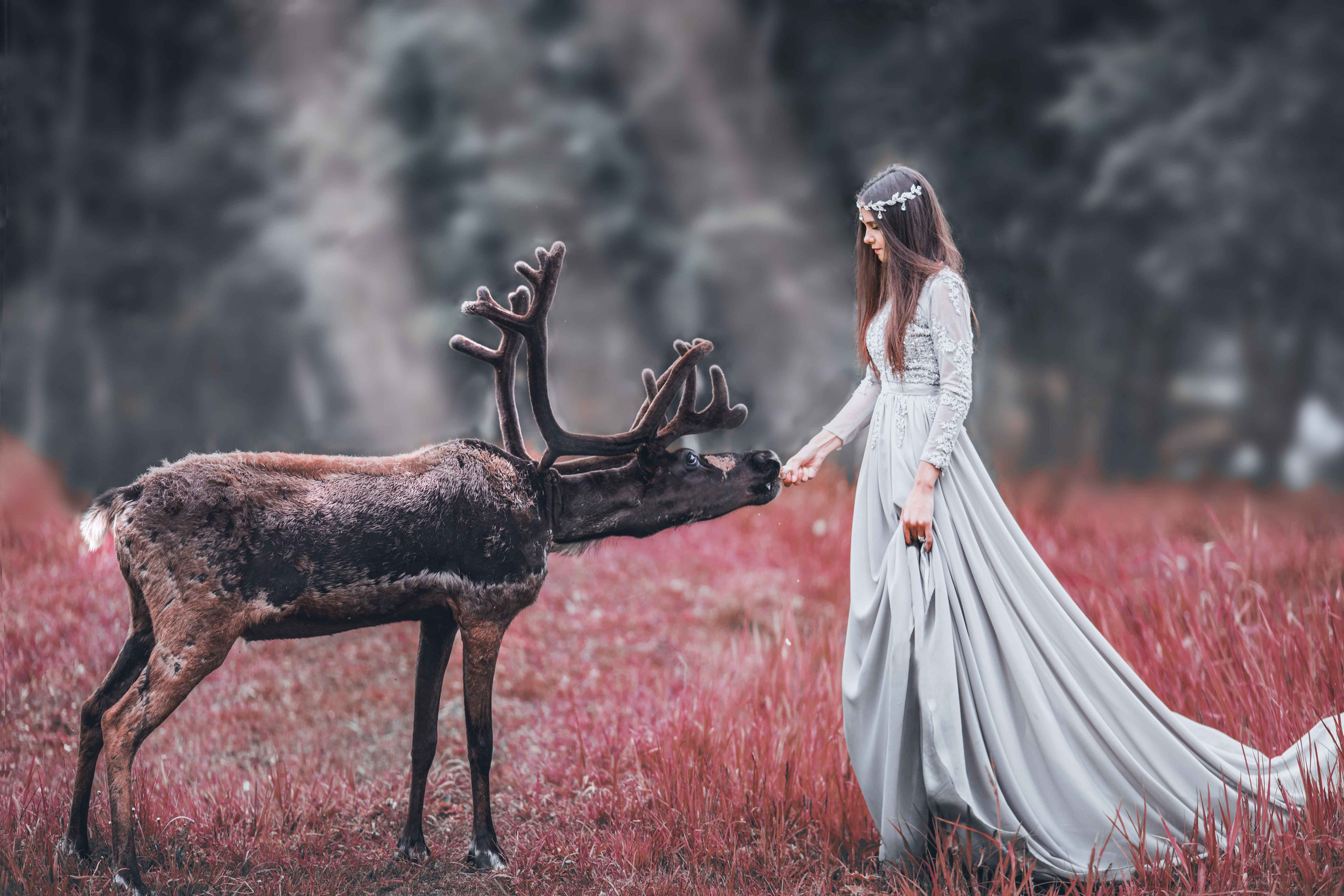 Фото с оленями. Обо мне