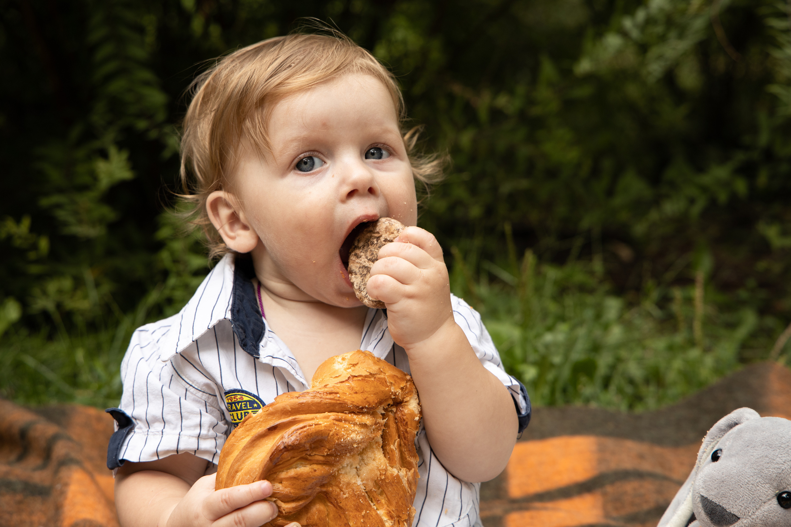 Малыш ест булку, сидя не пледе. Детская съёмка Астрахань.