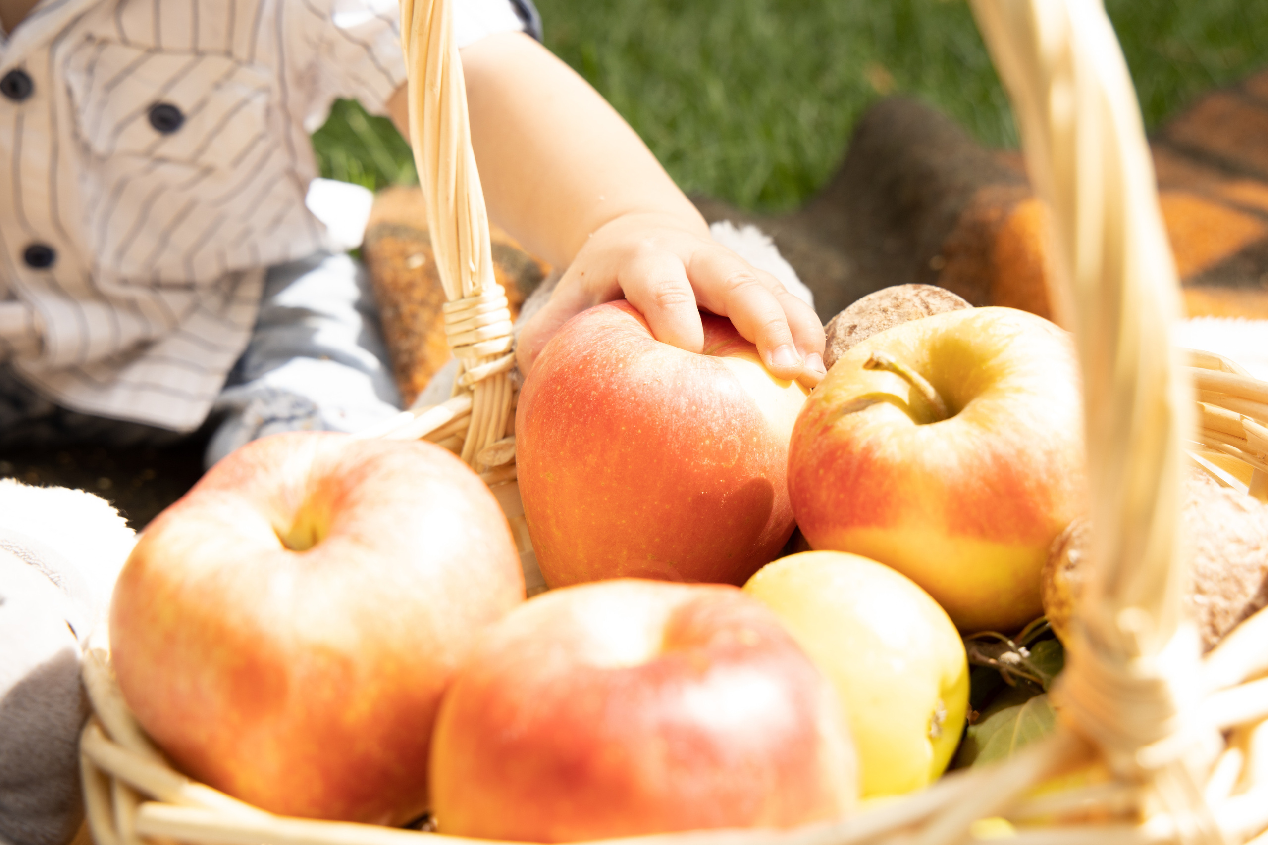 Корзина с яблоками, рука малыша на одном из яблок. Детская съёмка Астрахань.