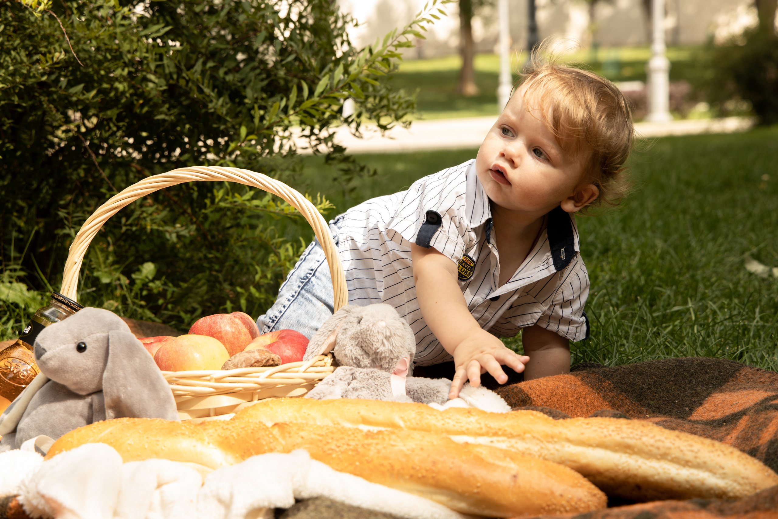 Малыш ползёт по траве, на переднем плане корзина с яблоками и хлеб. Детская съёмка Астрахань.