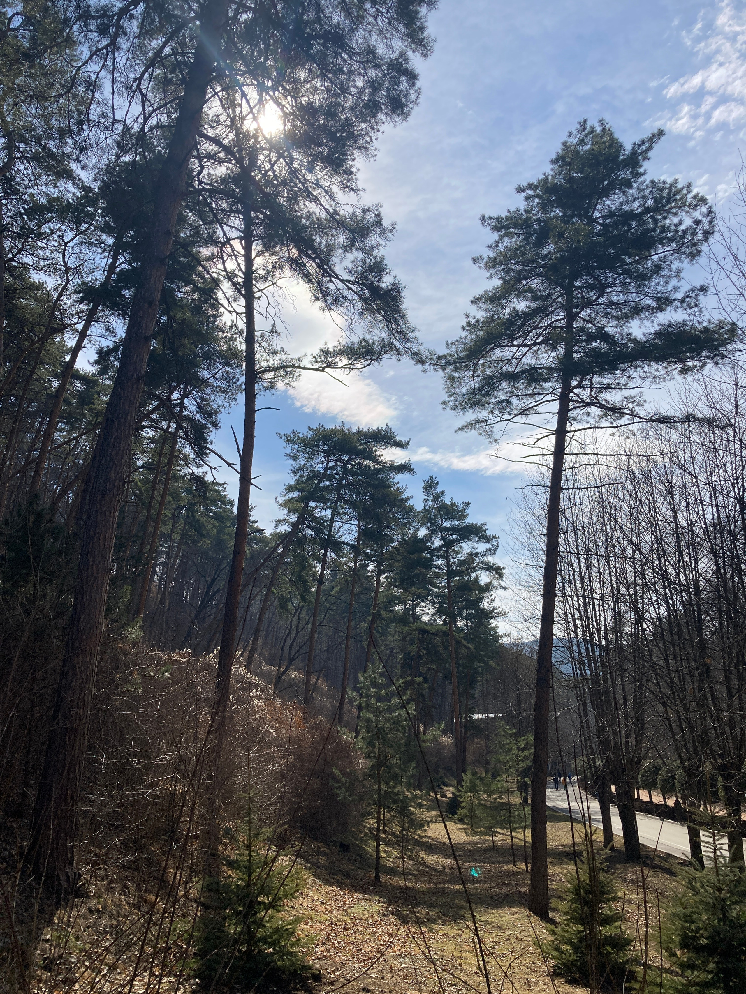 Кисловодск. Смотри, красота!