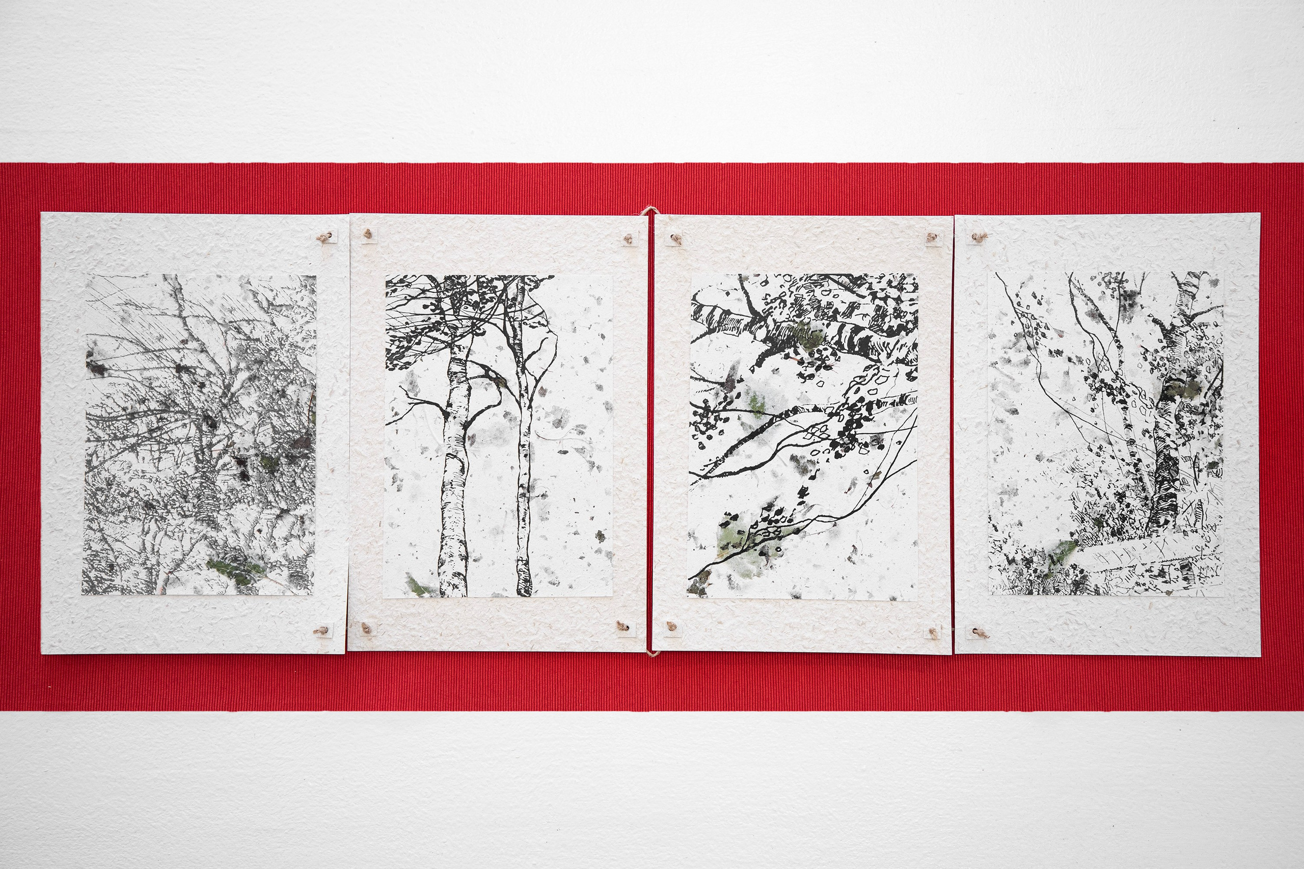 A Collection of Exercises (2023)