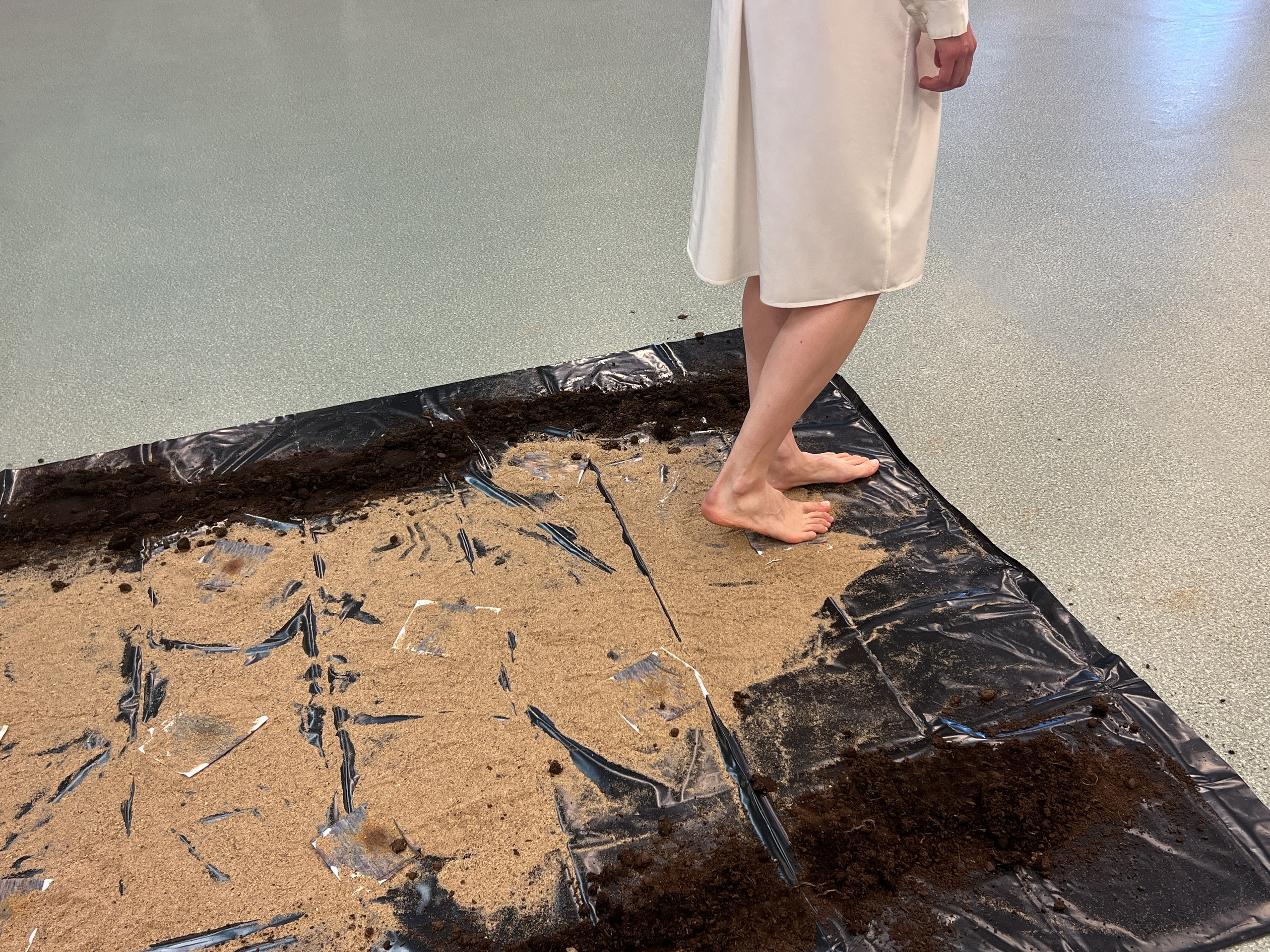 Irreversibility, performance art by Alya Segova. Alya Segova