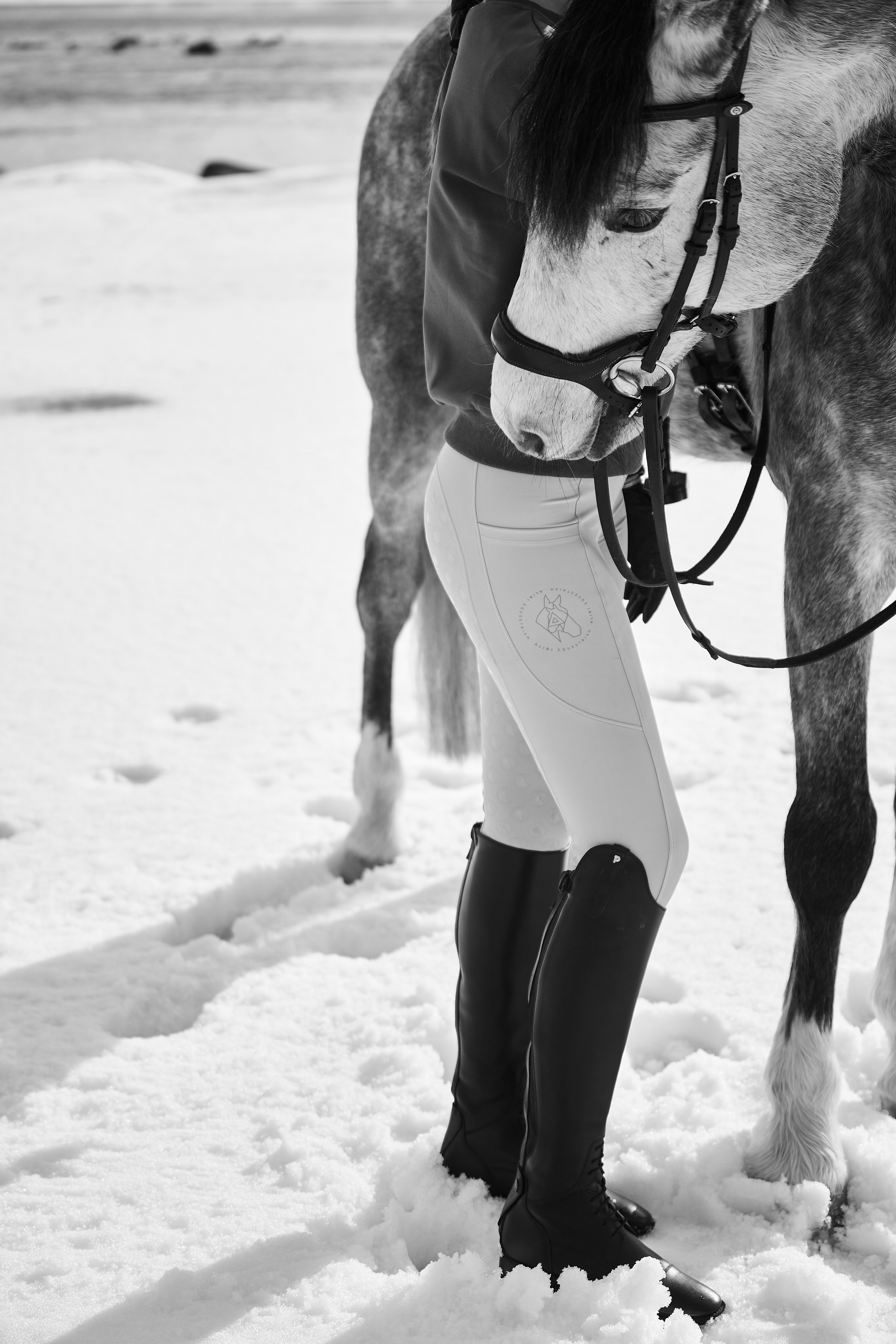 Фотосессии с лошадьми в Москве, Новосибирске