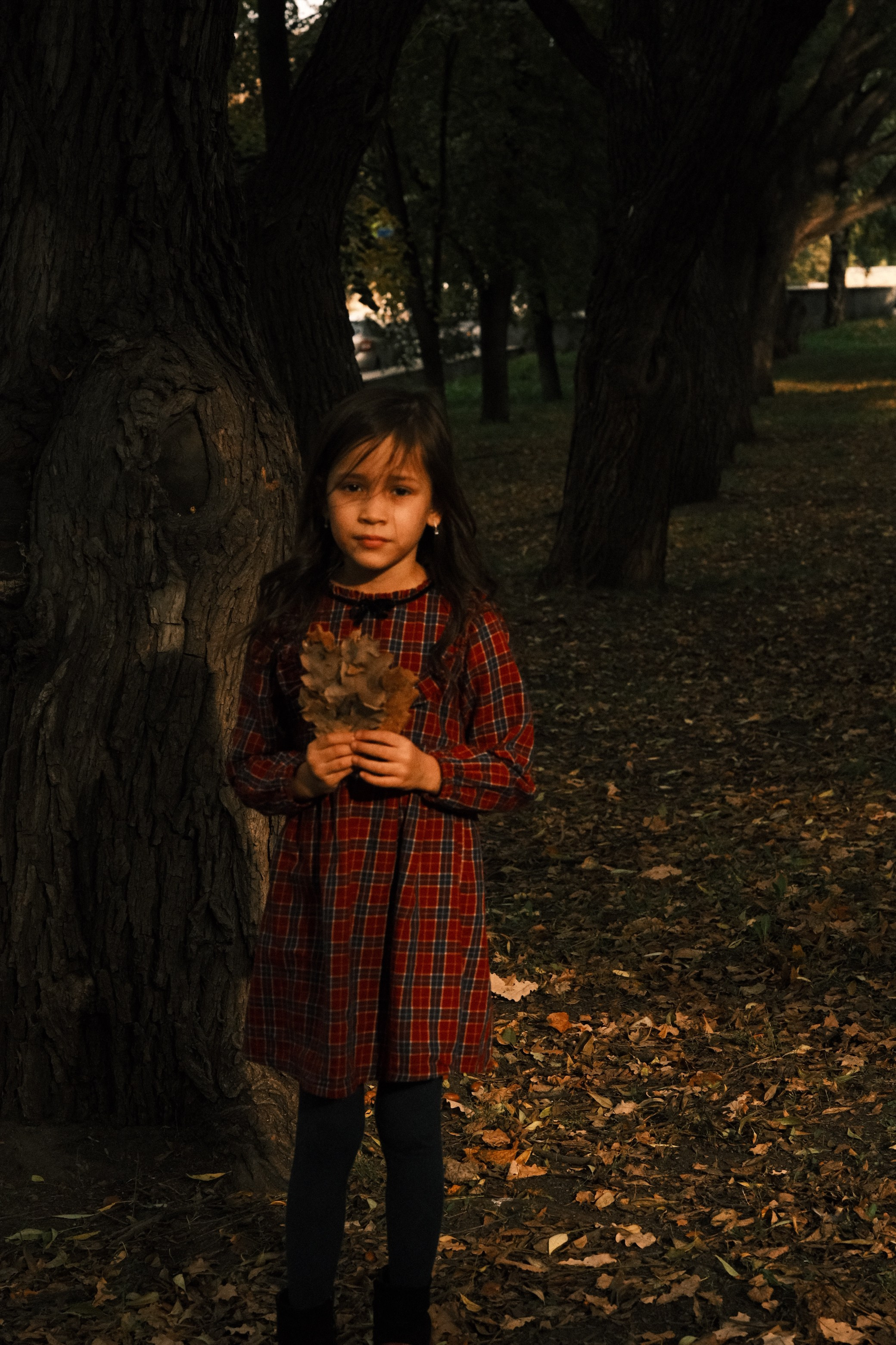 Алина. Свадебный, портретный и детский фотограф в Челябинске