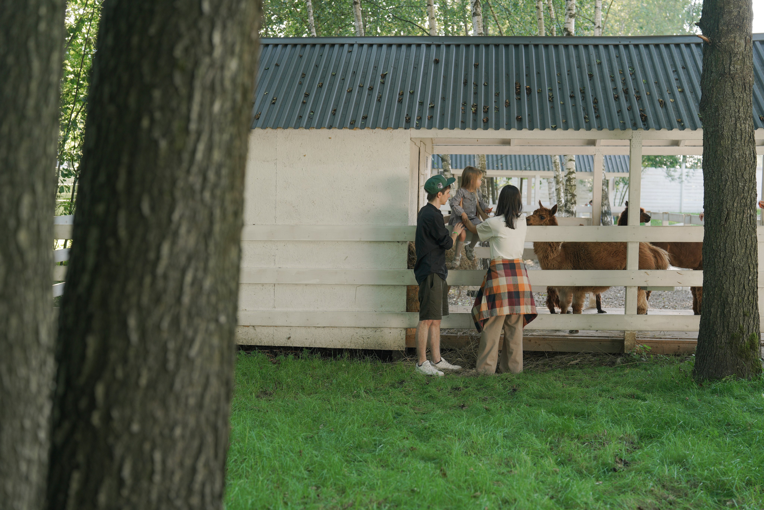 Семейный фотограф в Москве и Балашихе Бренева Анна