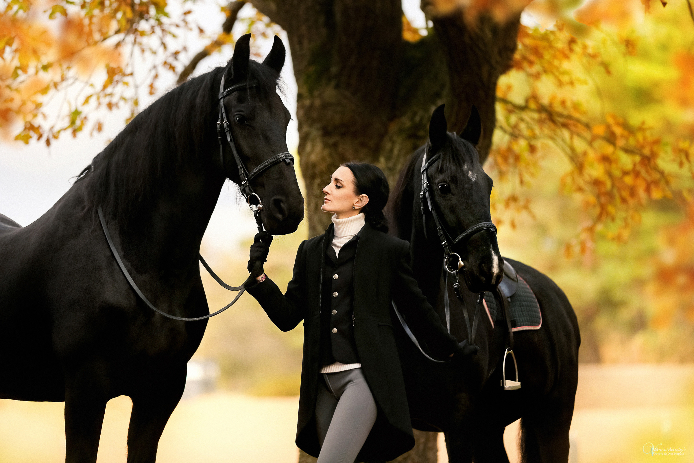 Осенняя фотосессия с лошадьми в СПб. Фотограф женский и мужской портрет Санкт-Петербург