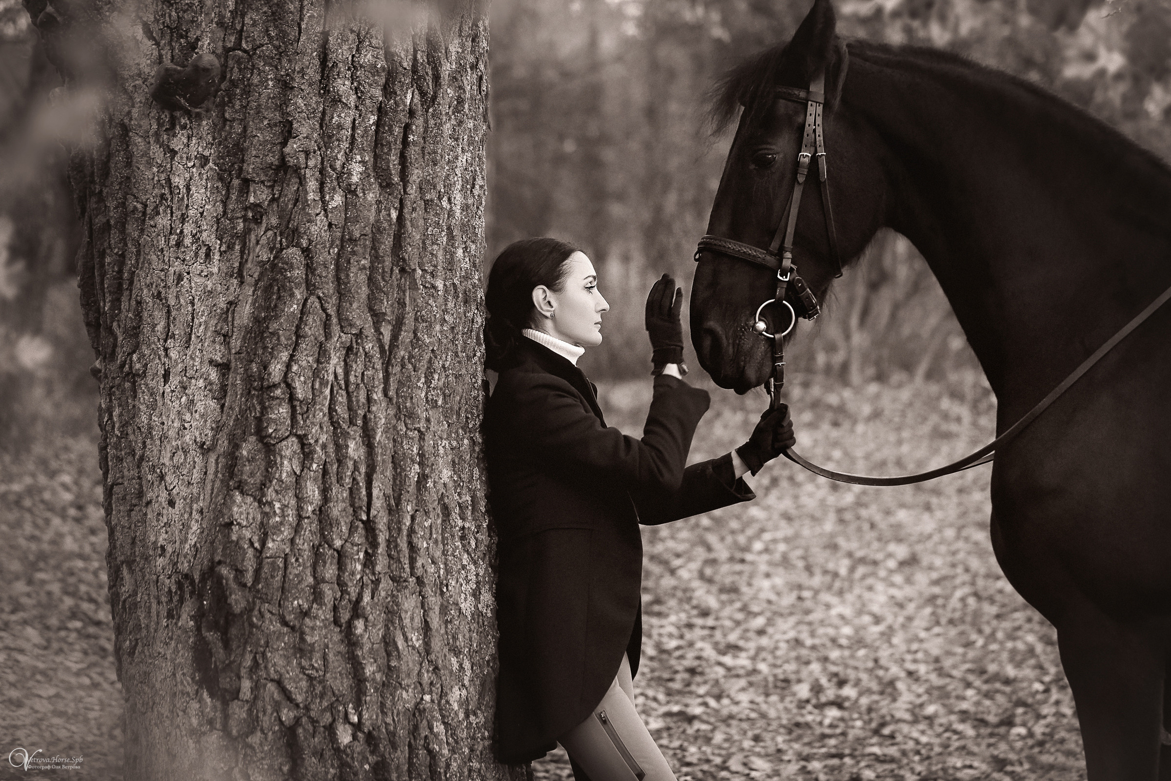 Осенняя фотосессия с лошадьми в СПб. Фотограф женский и мужской портрет Санкт-Петербург